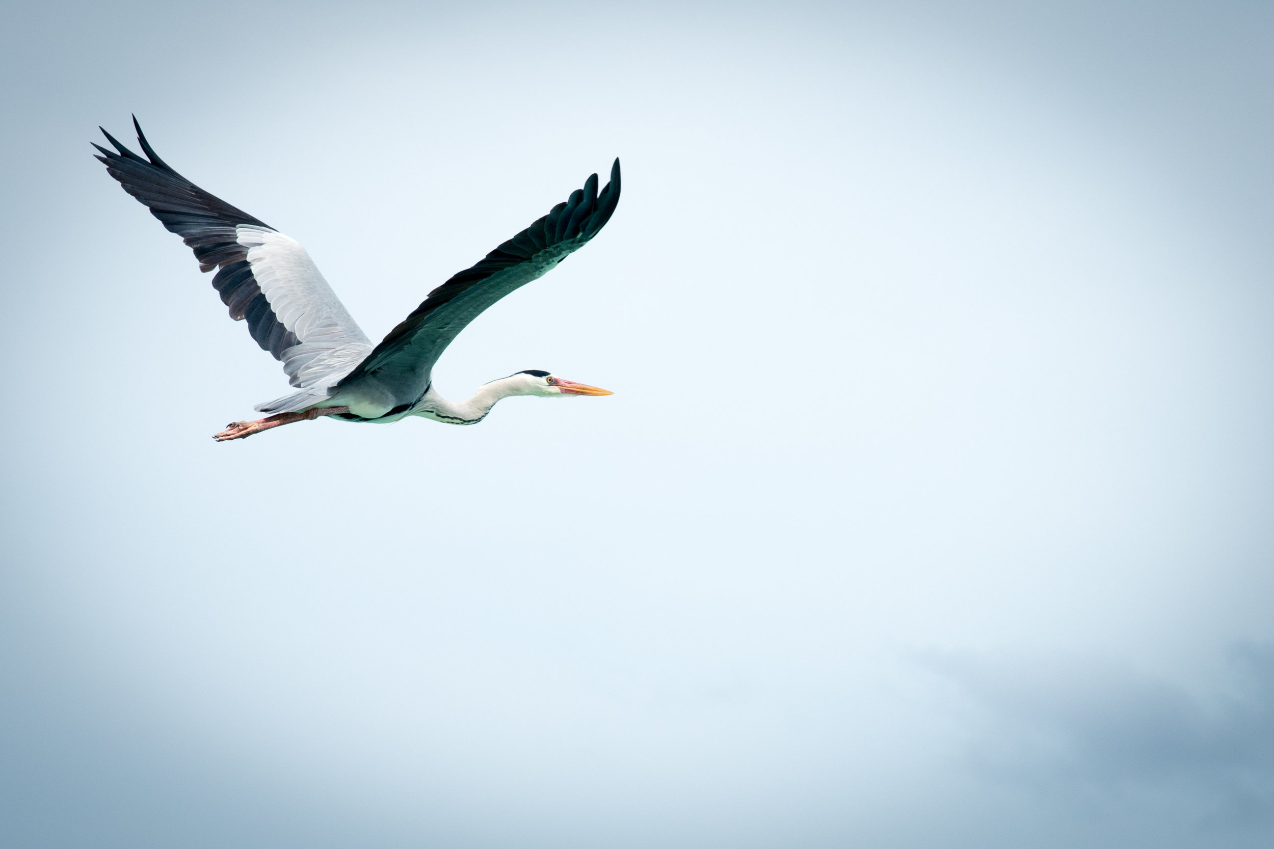 AdobeStock_212249879.jpeg