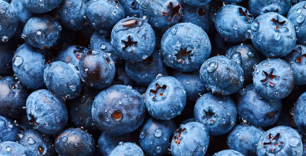 FreshBlueberries.jpg