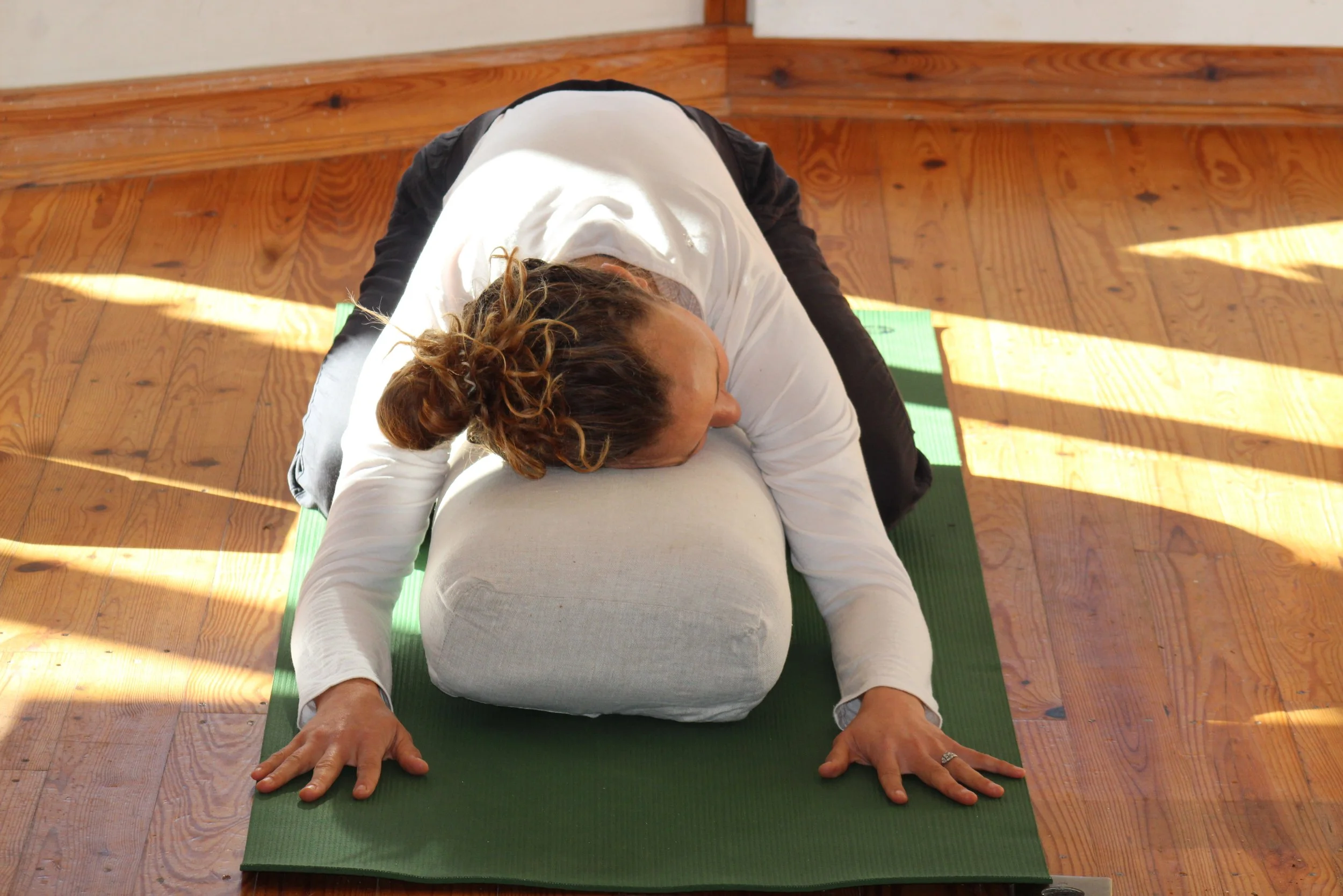 Holiday Nervous System Reset Workshop 