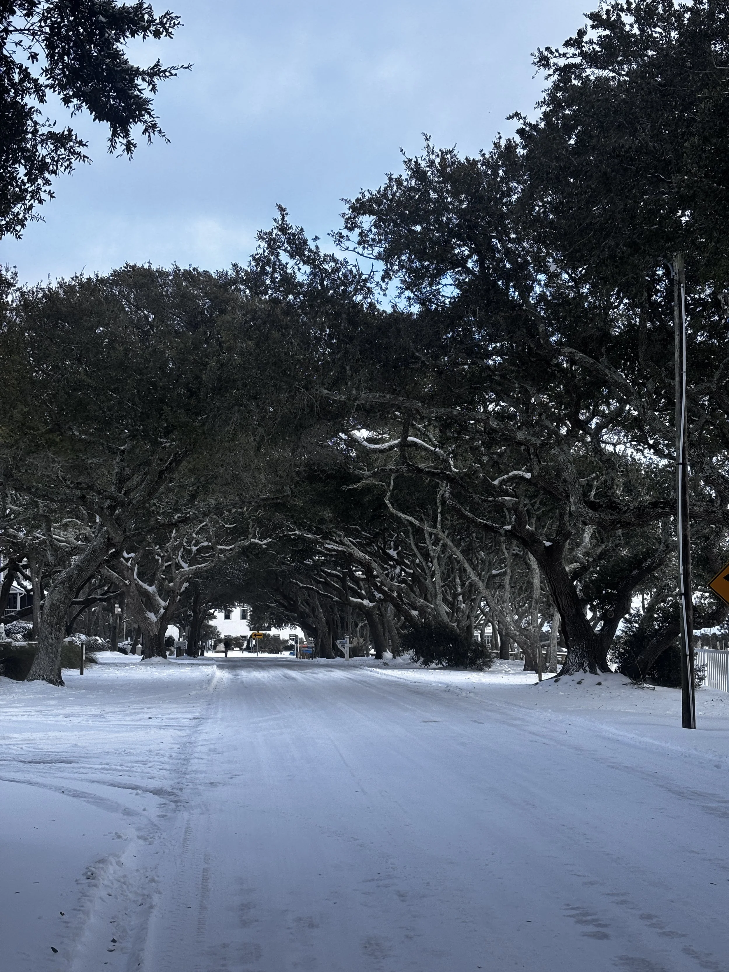The Six Senses: A Winter Meditation Journey