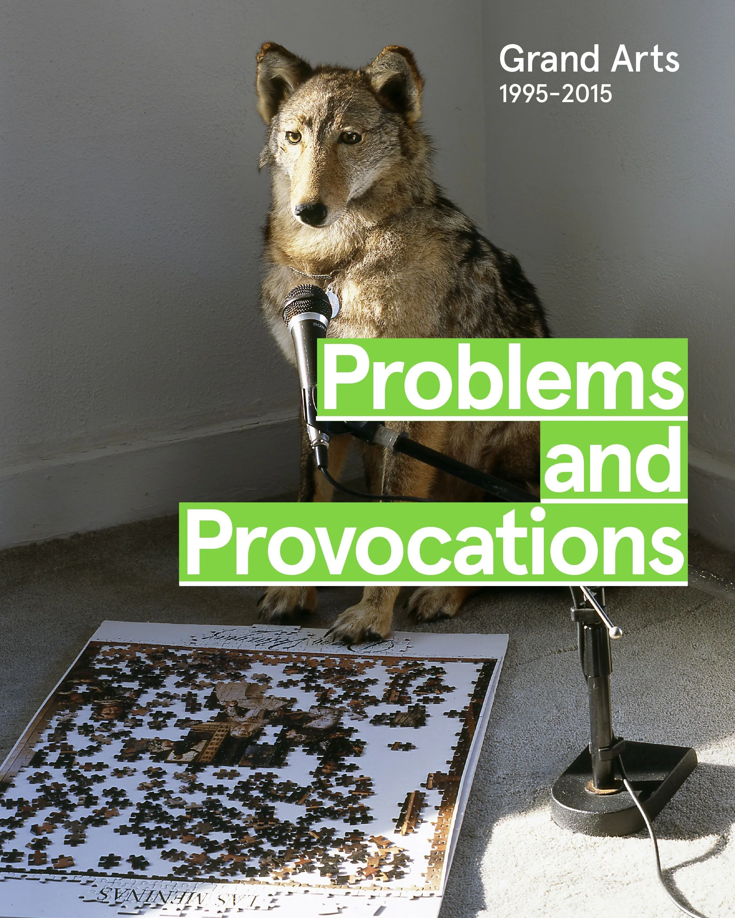 Problems and Provocations: Grand Arts 1995-2015