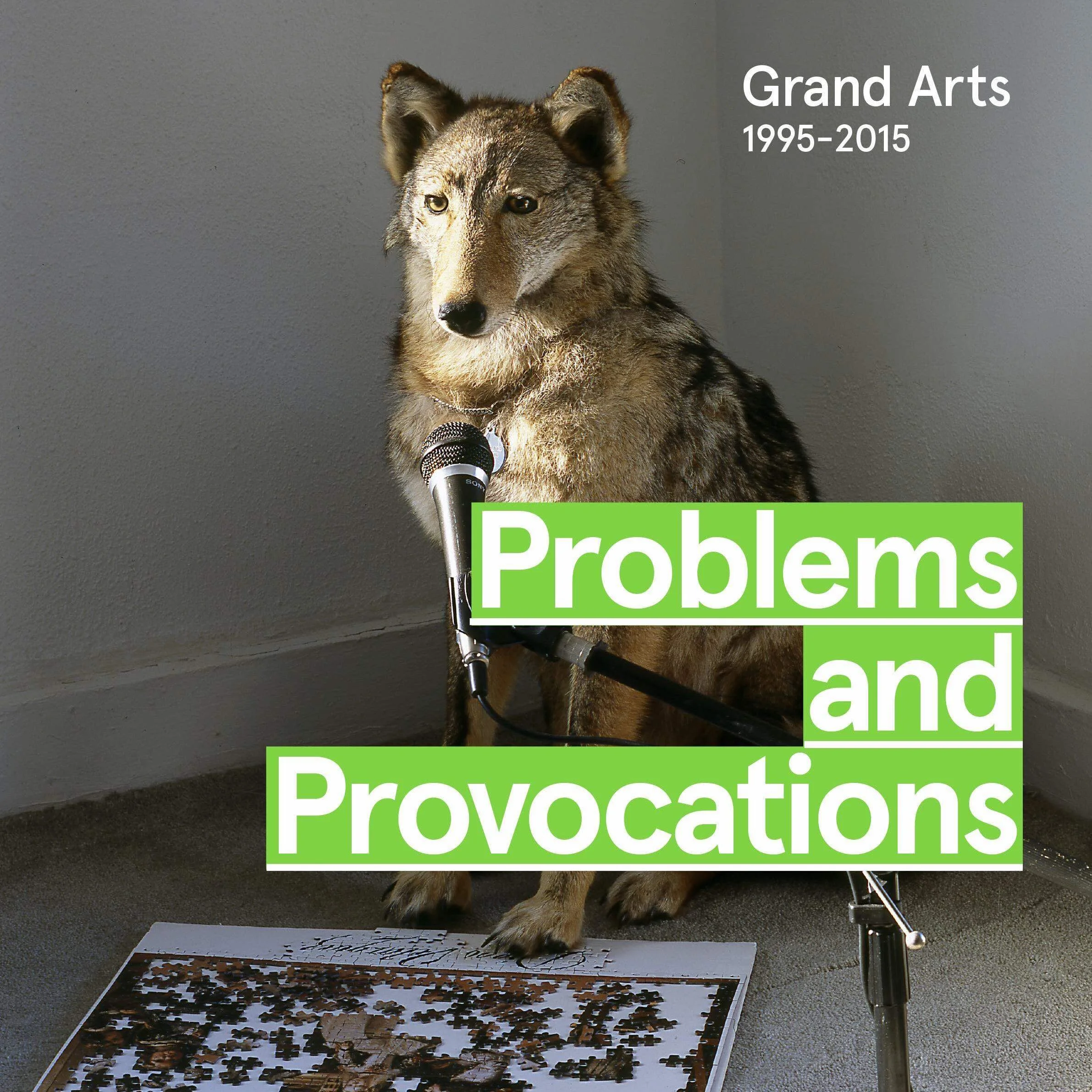 Problems and Provocations copy.jpg