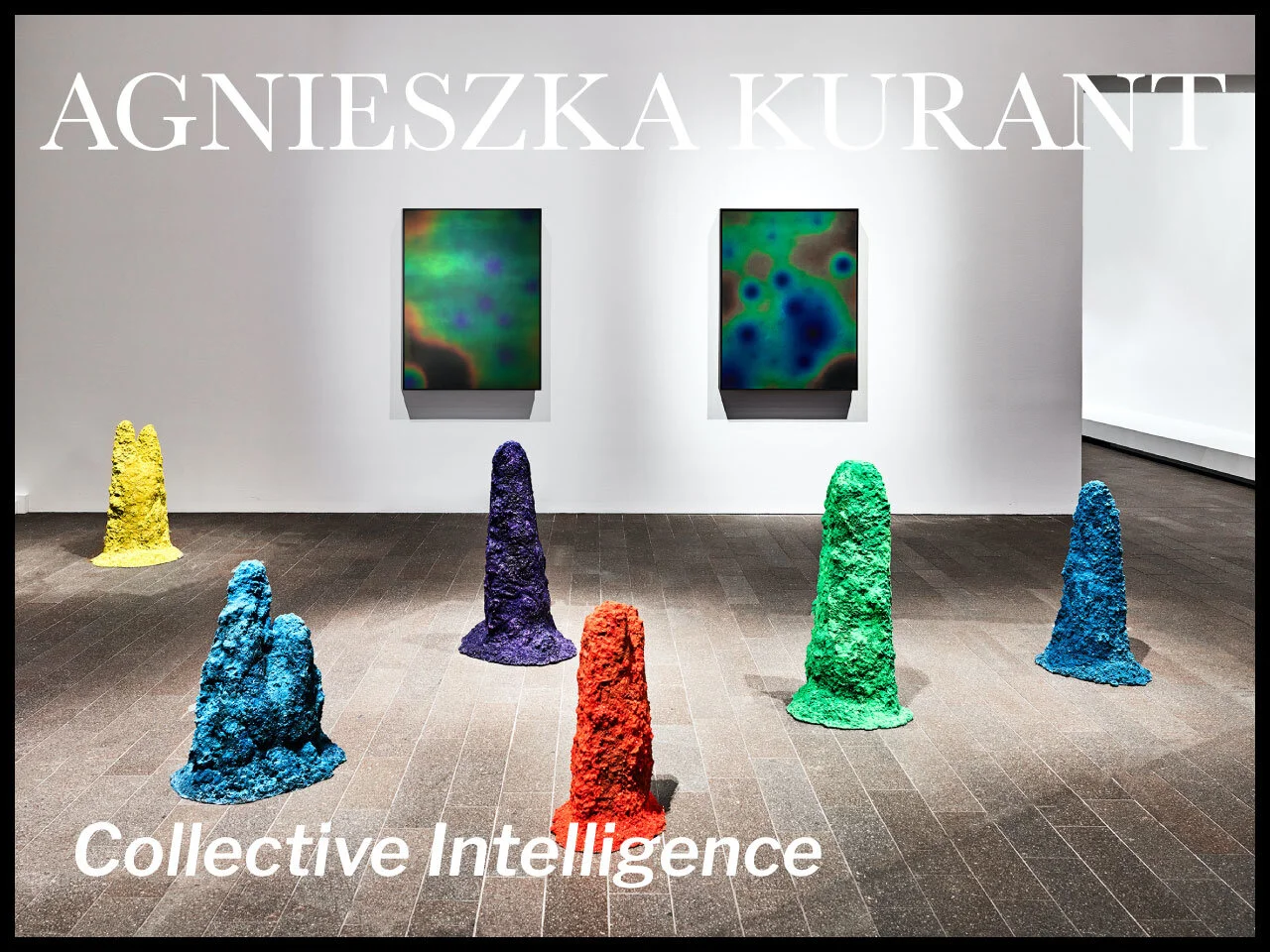 Project-Collective-Intelligence.jpg