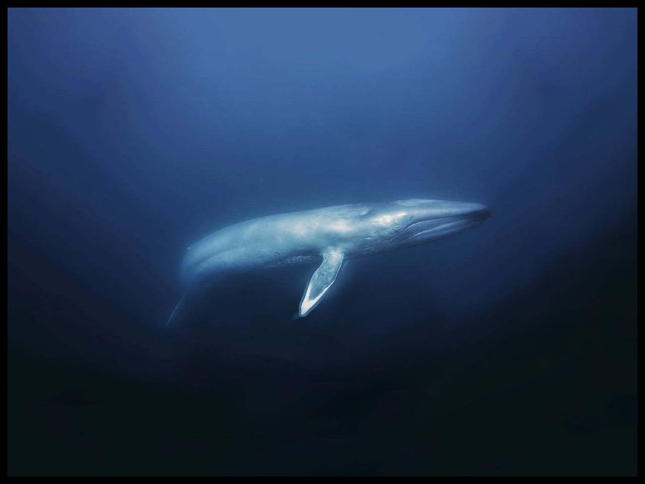      

 
    TWELVE EARTHS  SITE 04 Announcement  Ka kitea te  whakamāoritanga  o tēnei pānui pāpāho ki konei.  Fathomers and Michael Jones McKean Studio are excited to announce  the waters off Wharariki Beach in Aotearoa New Zealand’s South Taranaki