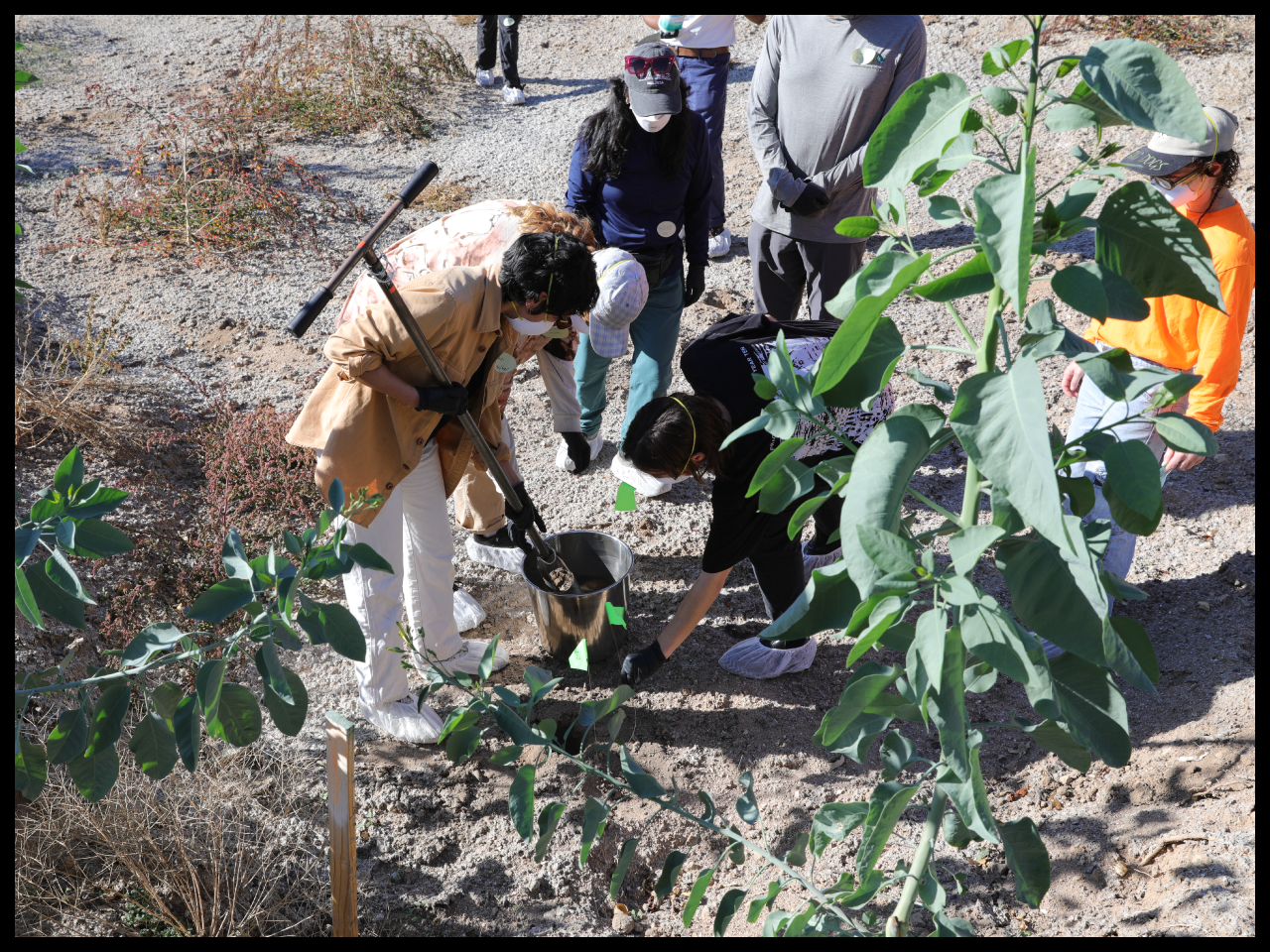      

 
   SENSE/MAKE REFLECTIONS    Sense/Make    was an interdisciplinary workshop series exploring the intersection of ecological remediation and creative practice, copresented by the    Centre for Applied Ecological Remediation    (CAER),    Tra