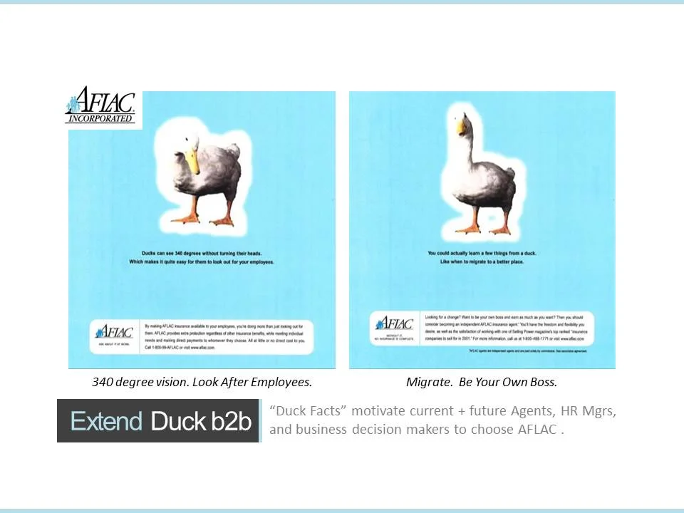 Slide15.JPG