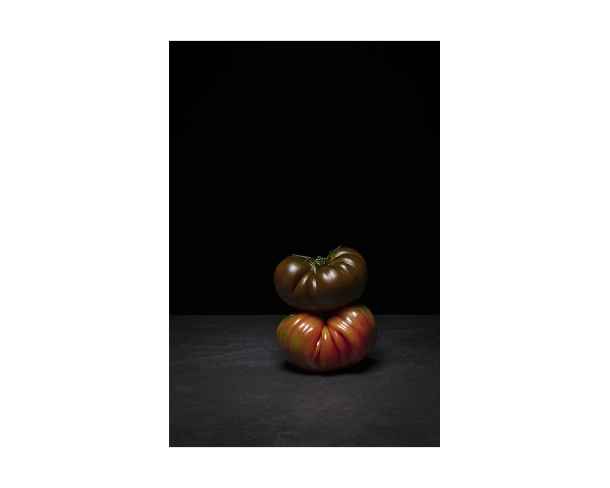 still life_2.jpg