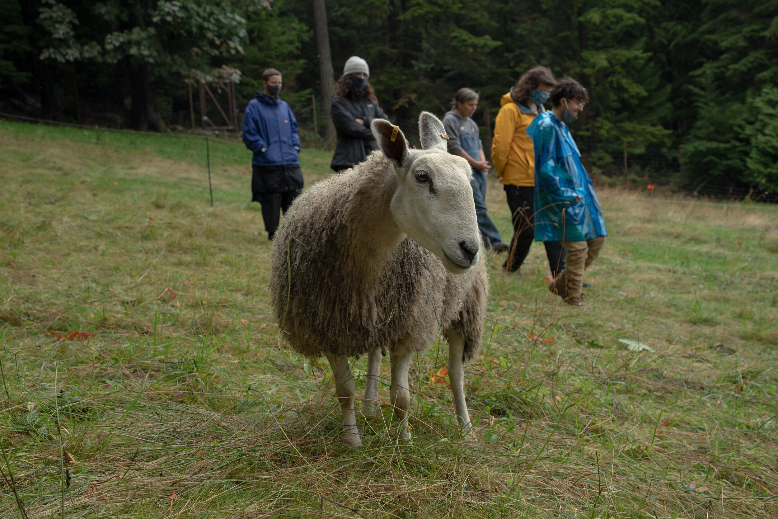 Fibershed-Field-School_5740.jpg