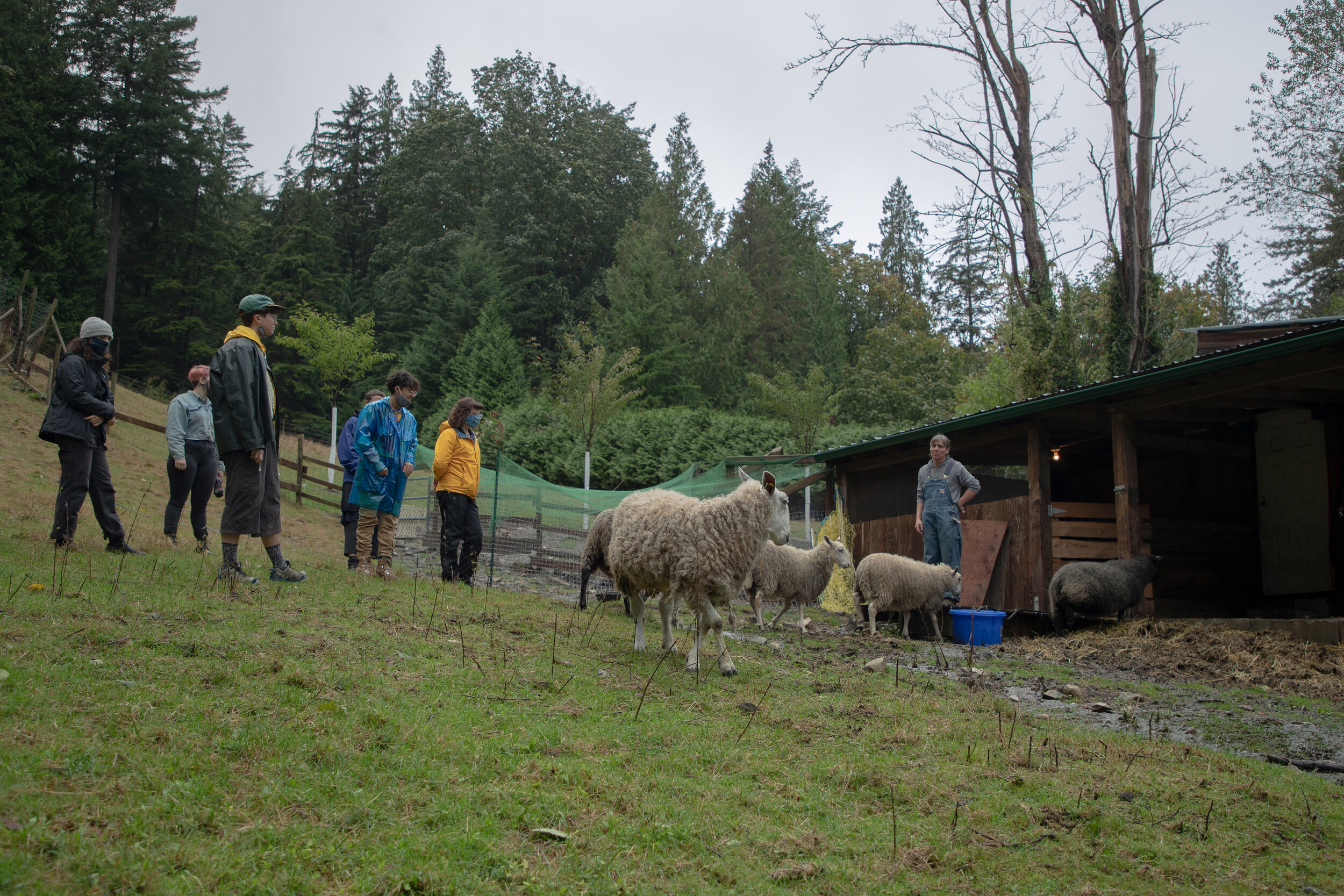 Fibershed-Field-School_5837.jpg