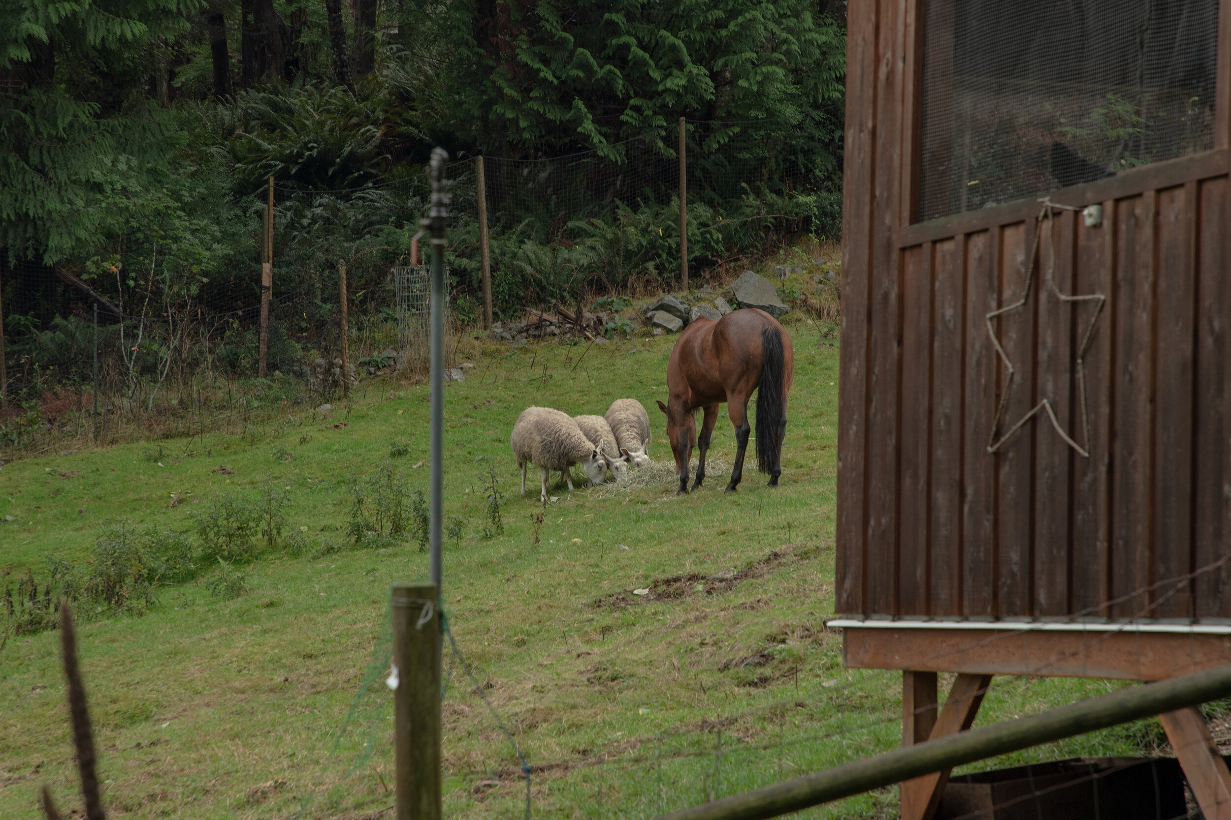 Fibershed-Field-School_5903.jpg