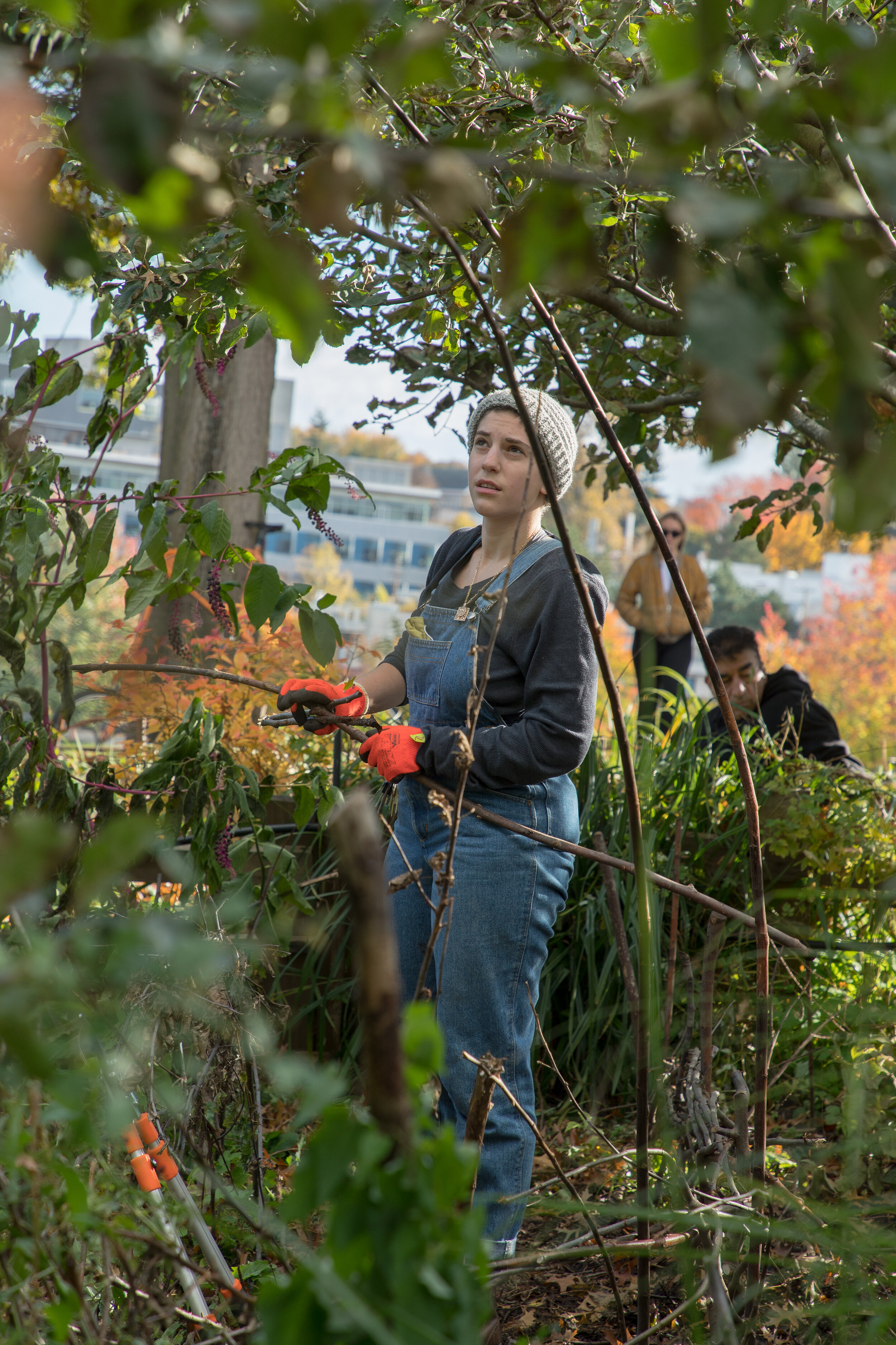 Fibershed-Field-School_7318.jpg