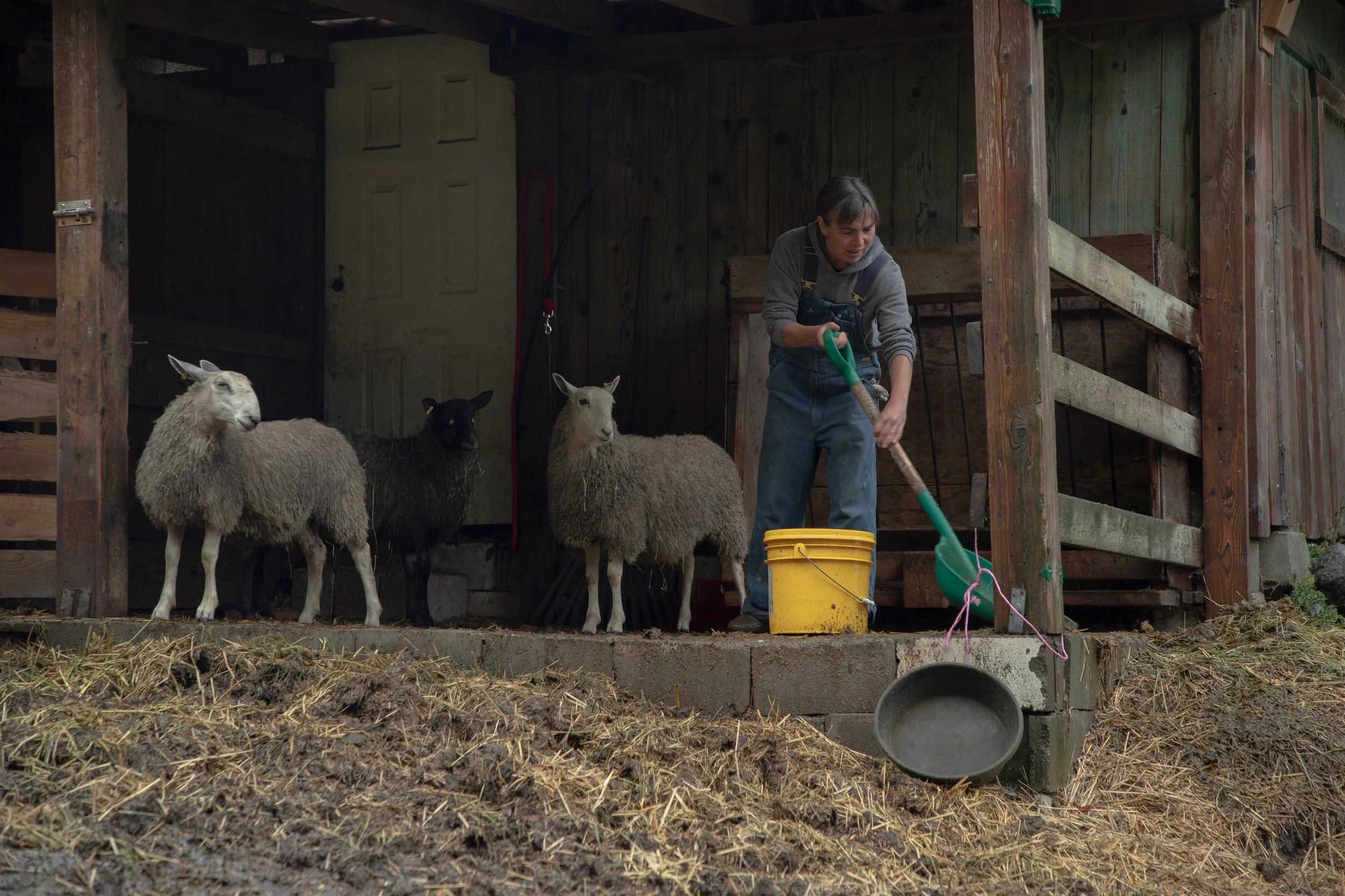 Fibershed-Field-School_5856 (2).jpg