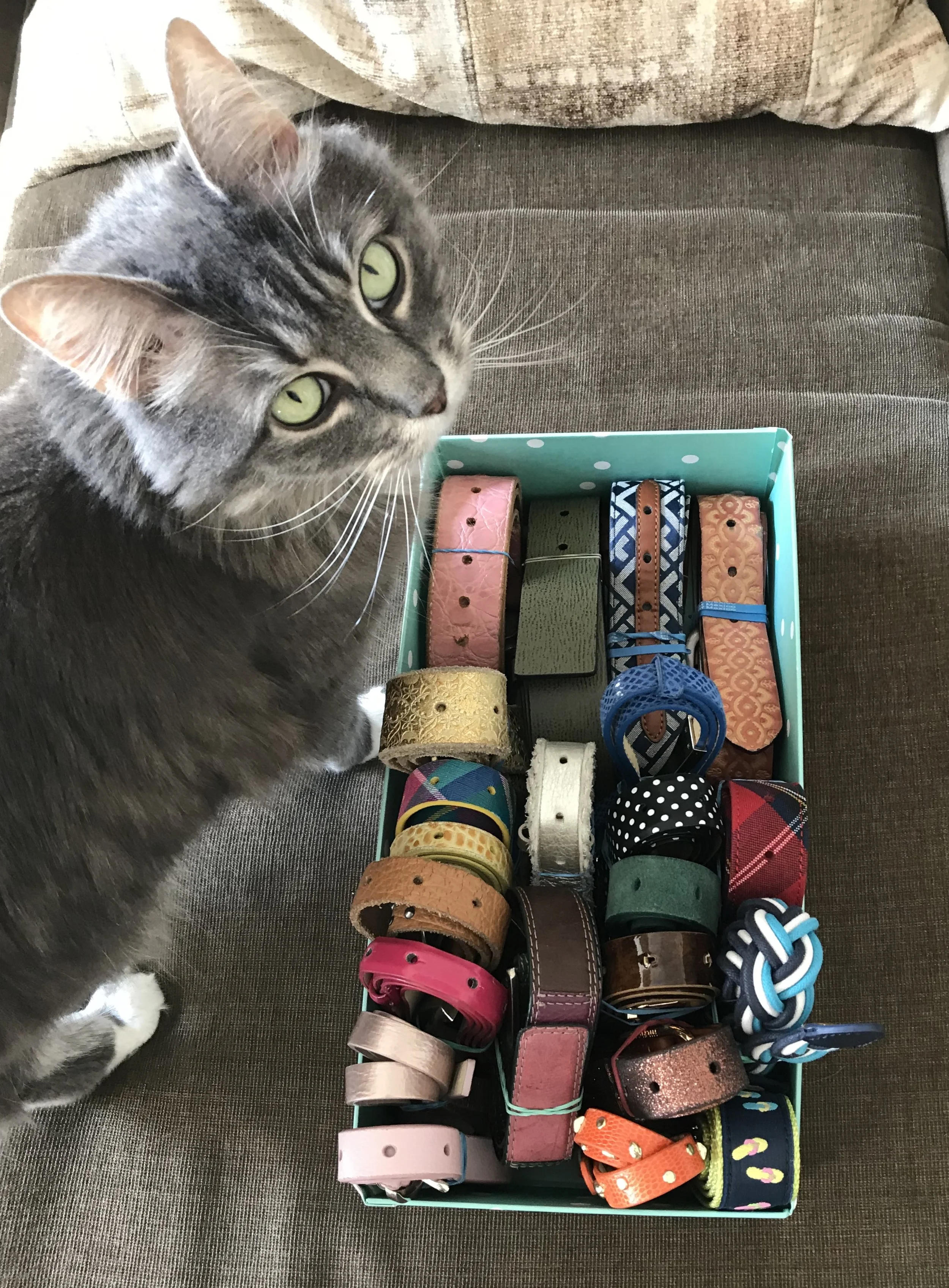 Bands, Boxes and Belts, Hooray!
