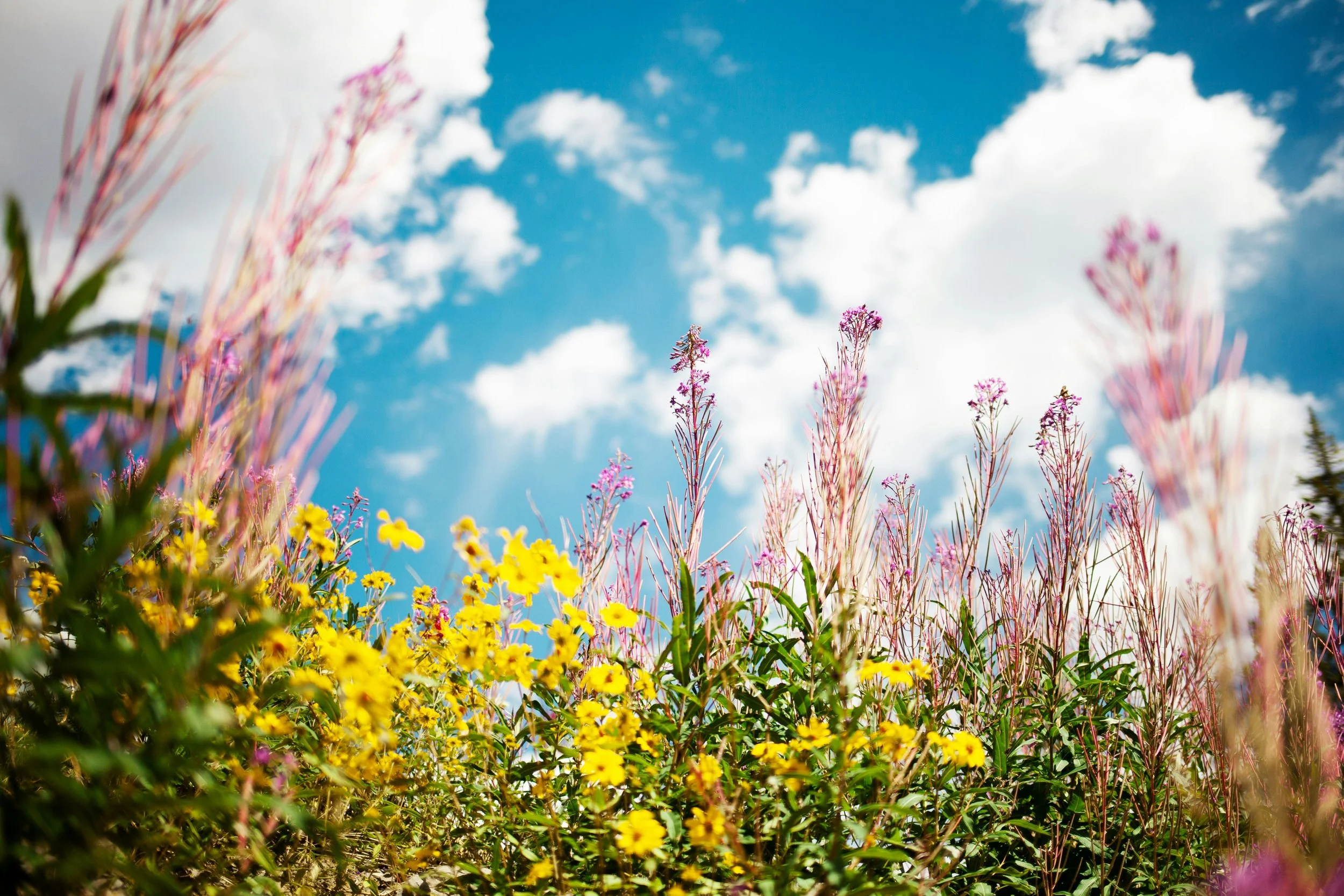 Spring Forward: Nurturing a Stress-Free Move with Organization and Relocation