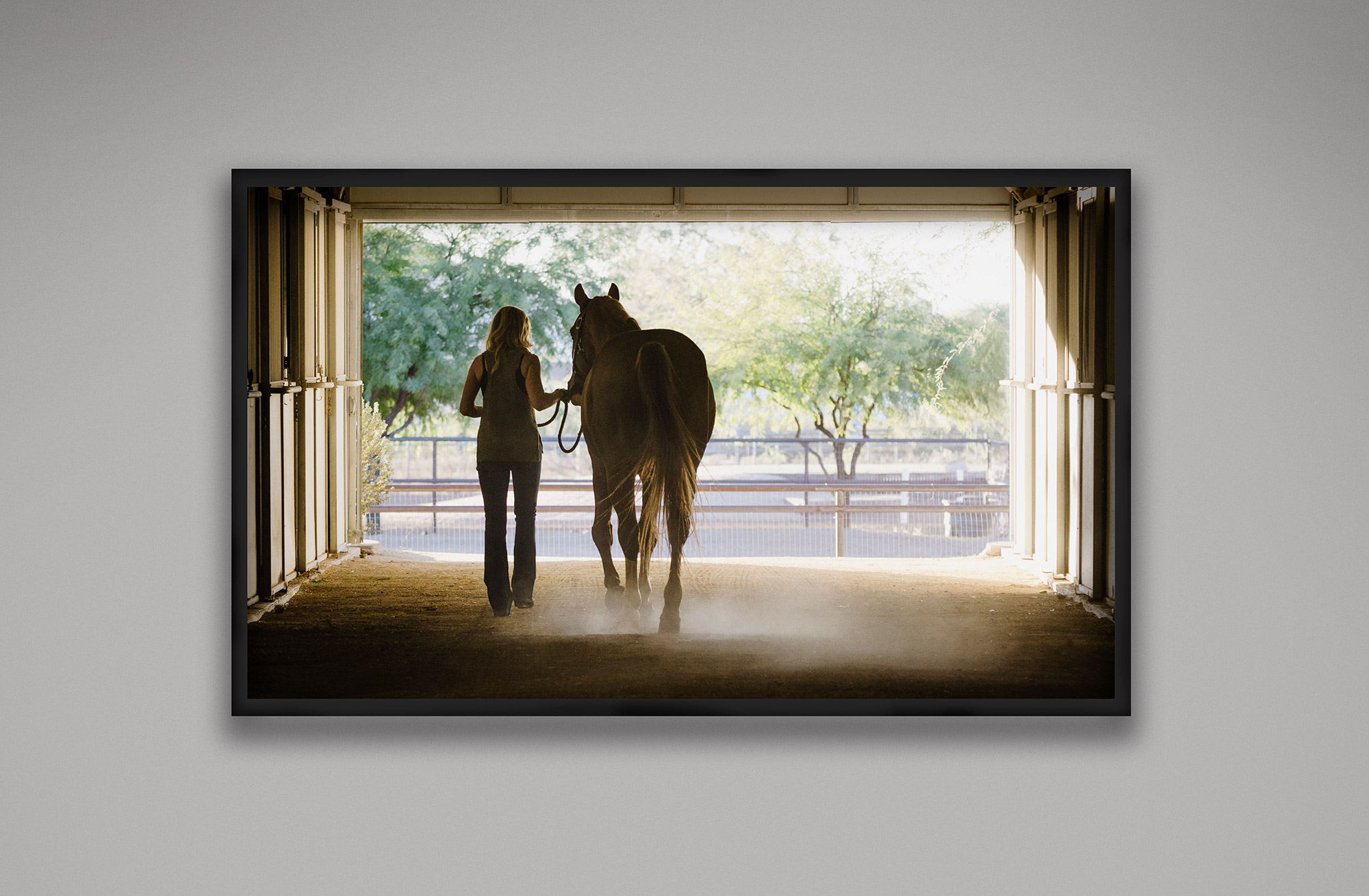 FramedArt_9931.jpg