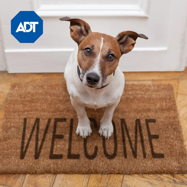 ADT_Thumbnail_.jpg