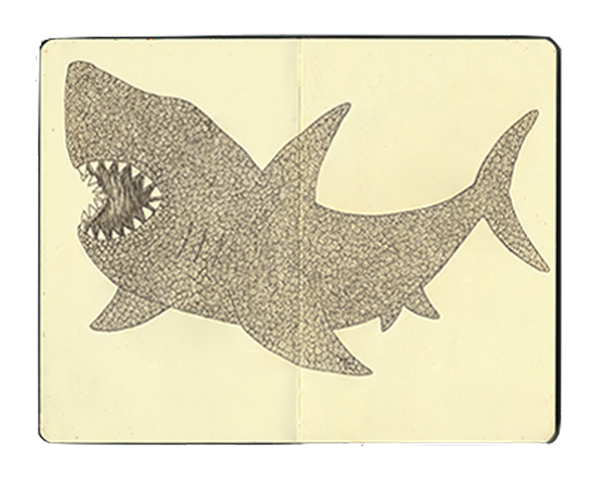 Shark.png