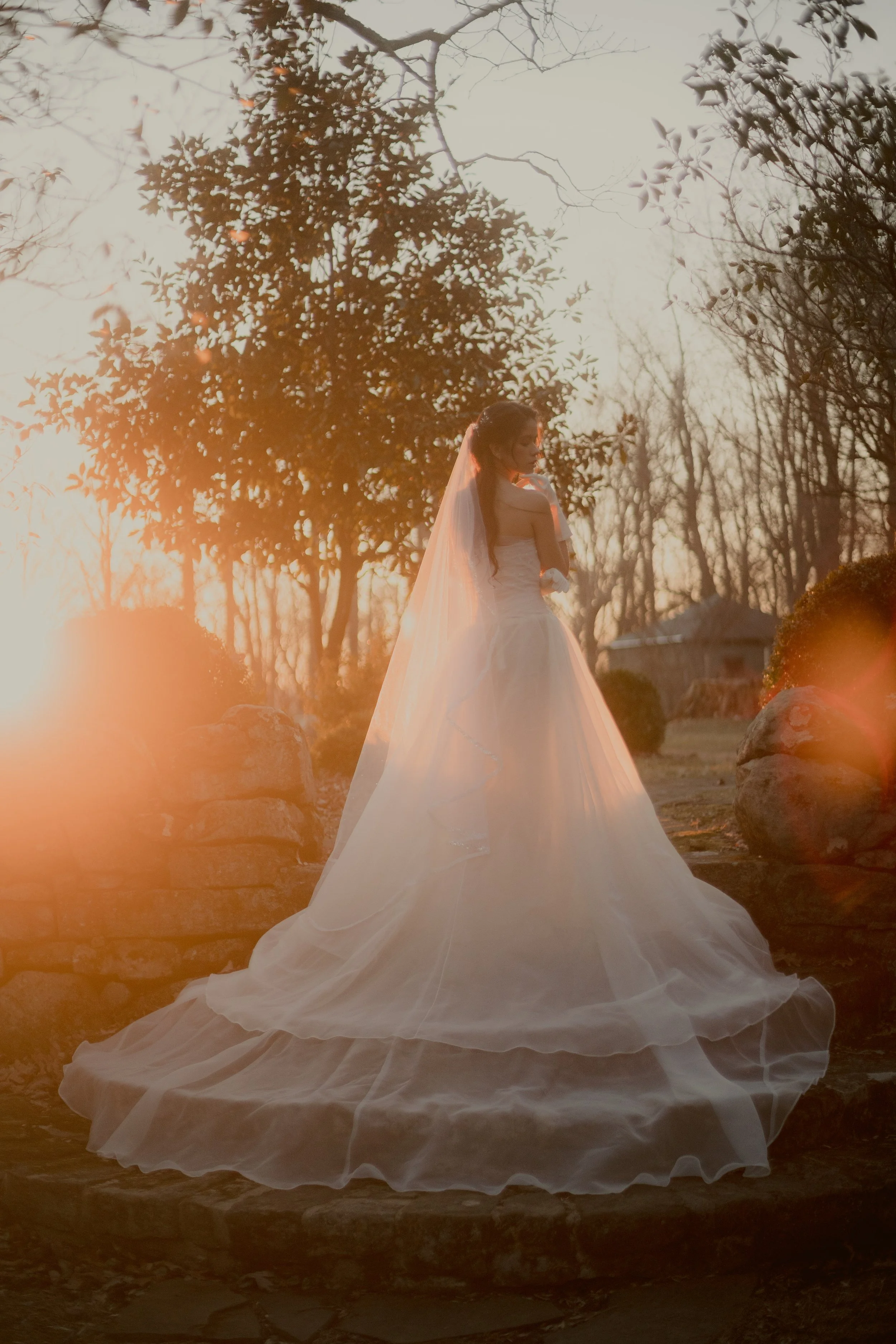 THE NOVA GOWN