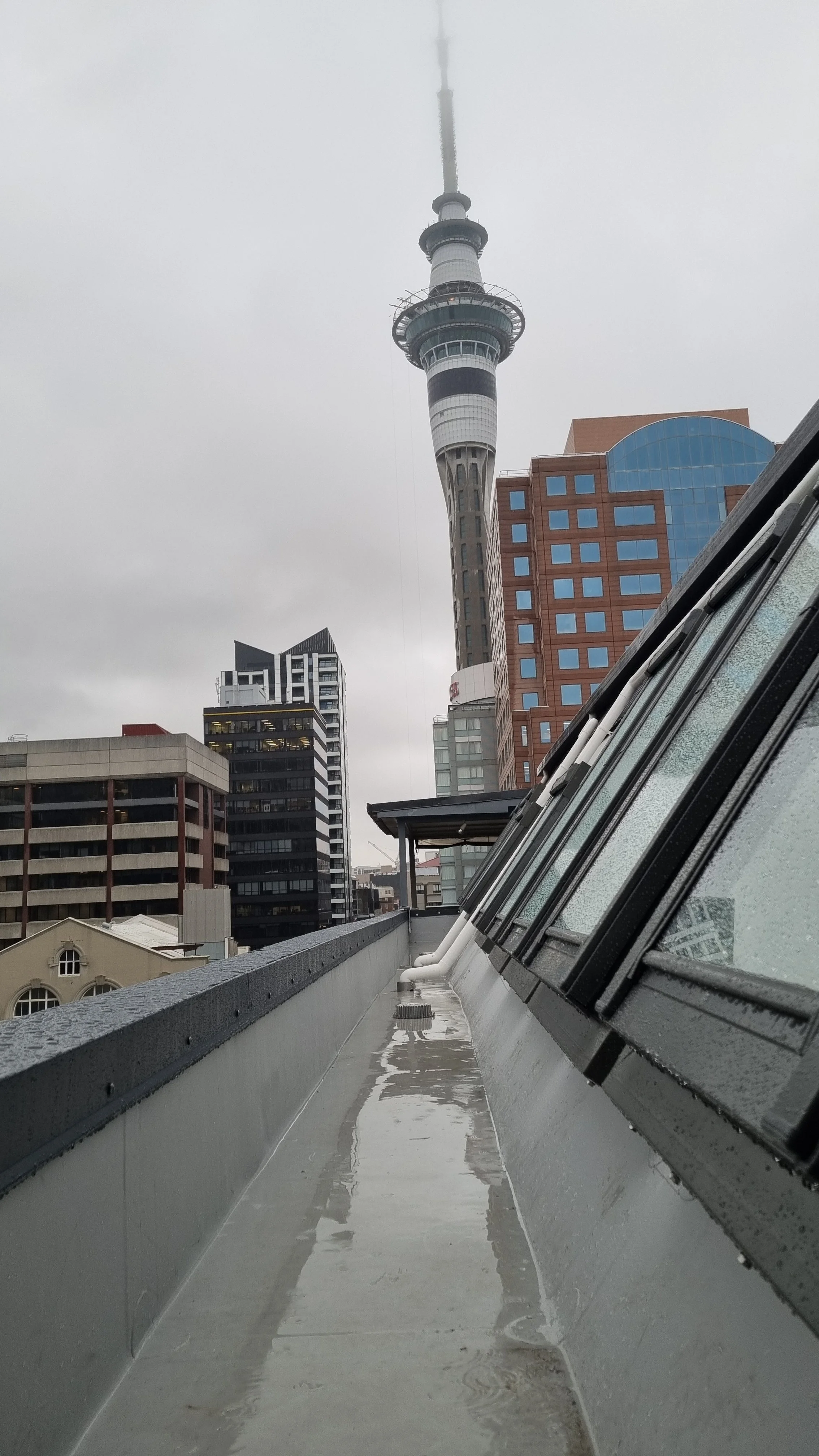 20231103_075859.jpg