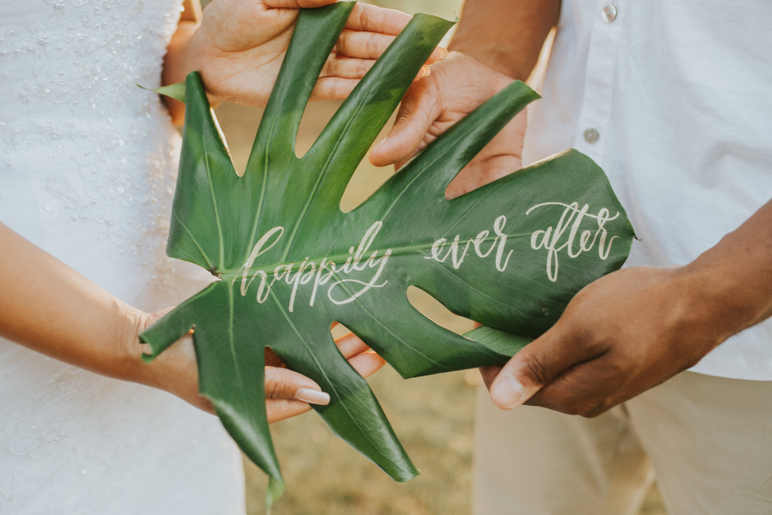 Copy of Tropical Styled Shoot_ Dillingham Ranch_ Vanessa Hicks Photography-3348.jpg