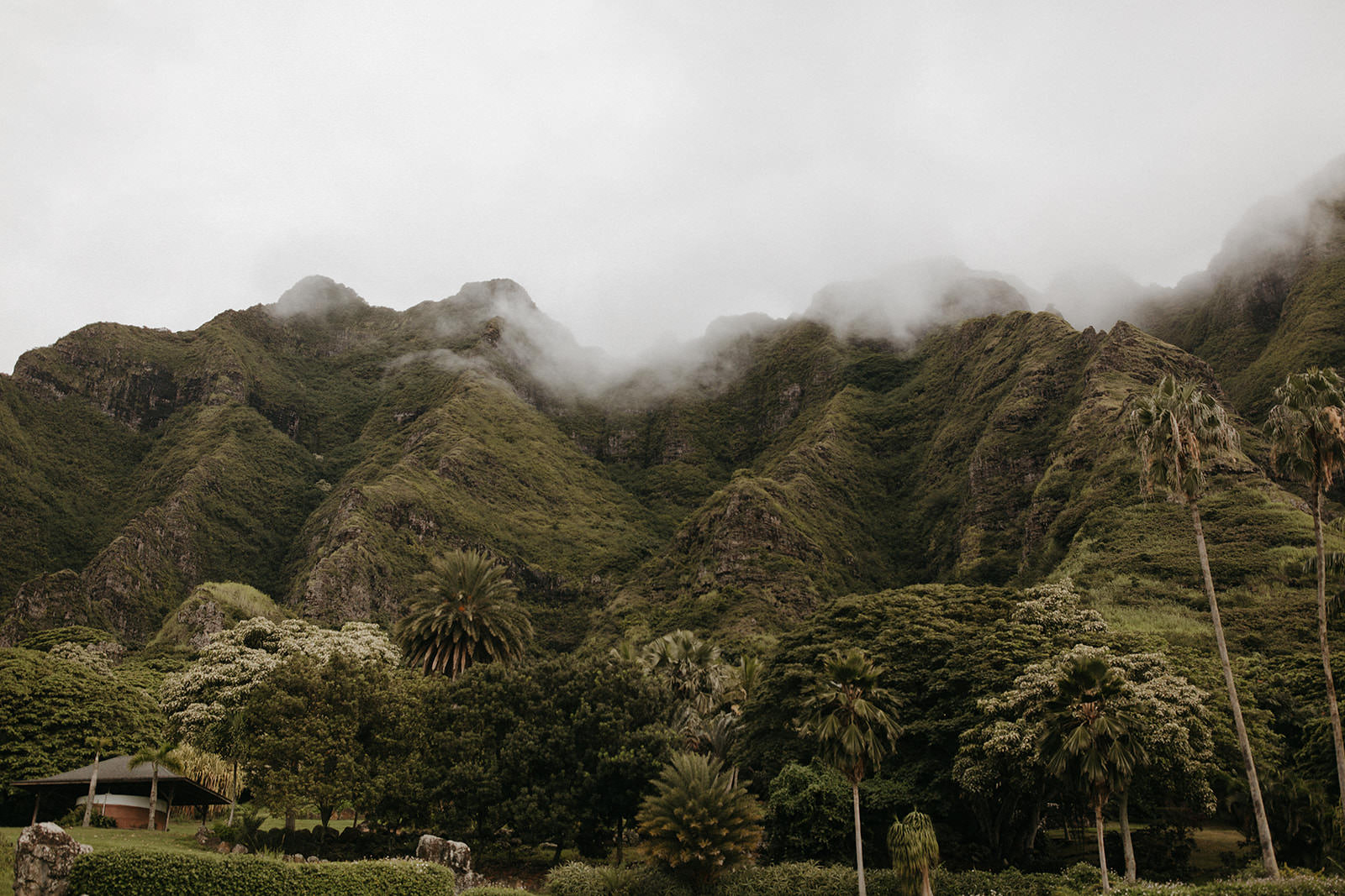 Kualoa_Hawaii_wedding_paliku22.jpg