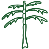 palm-tree.png