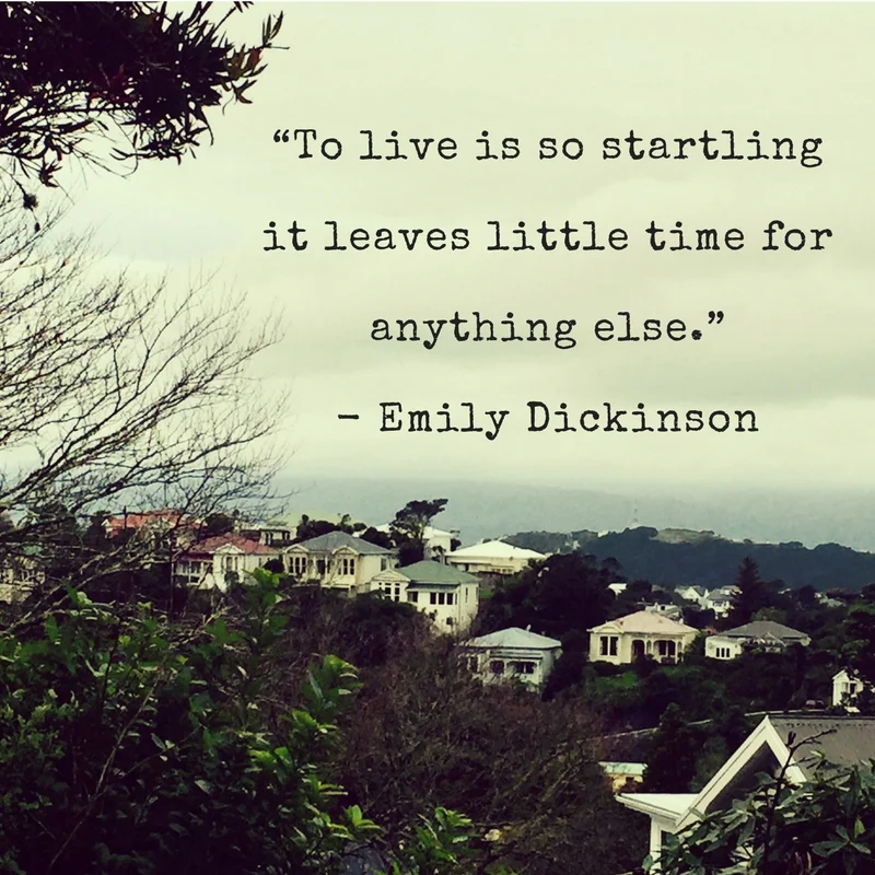 “To live is so startling it leaves little time for anything else.” - Emily Dickinson.jpg