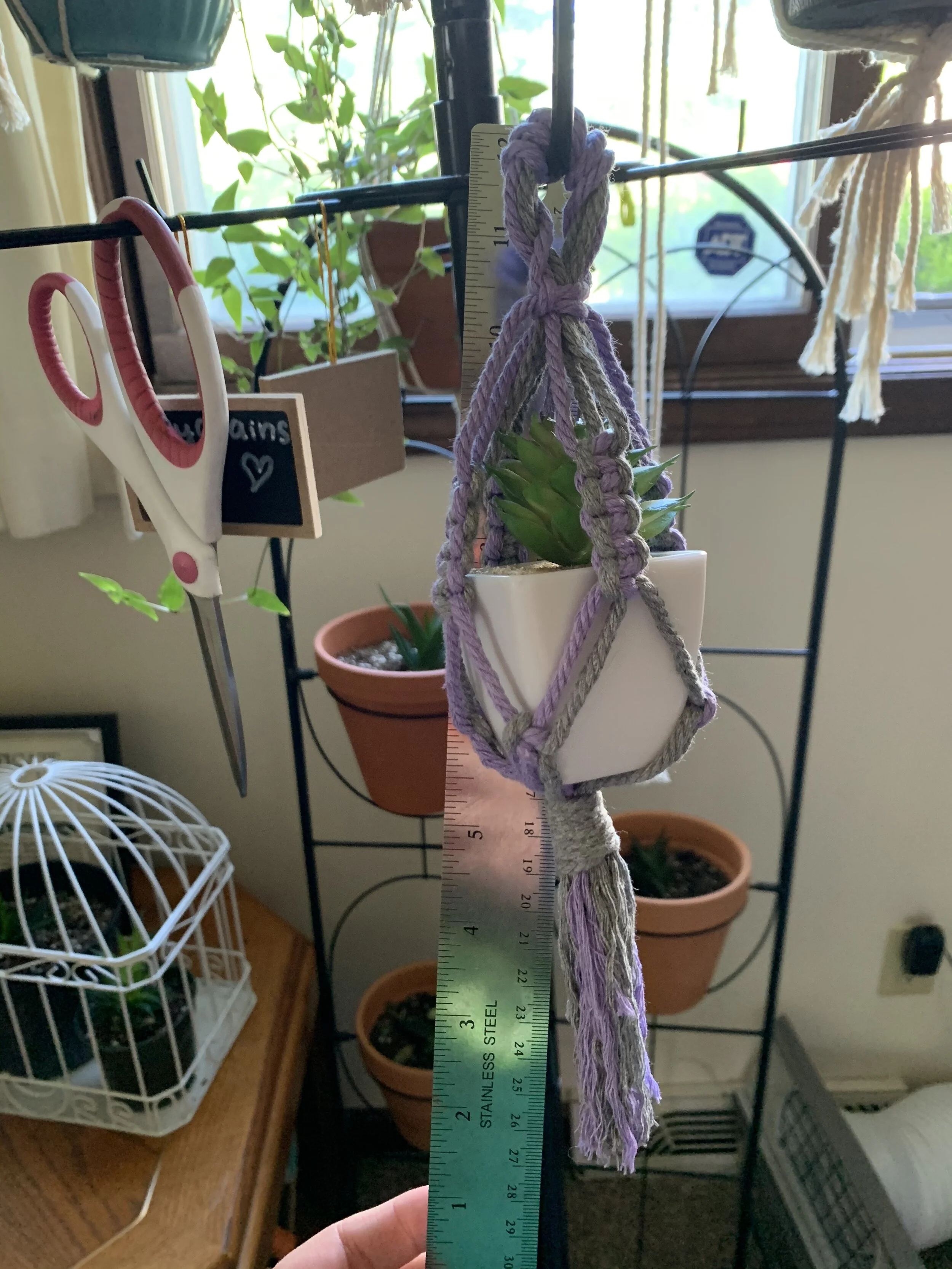 4E15DB87-B2ED-43EC-8F44-3D963FC76983