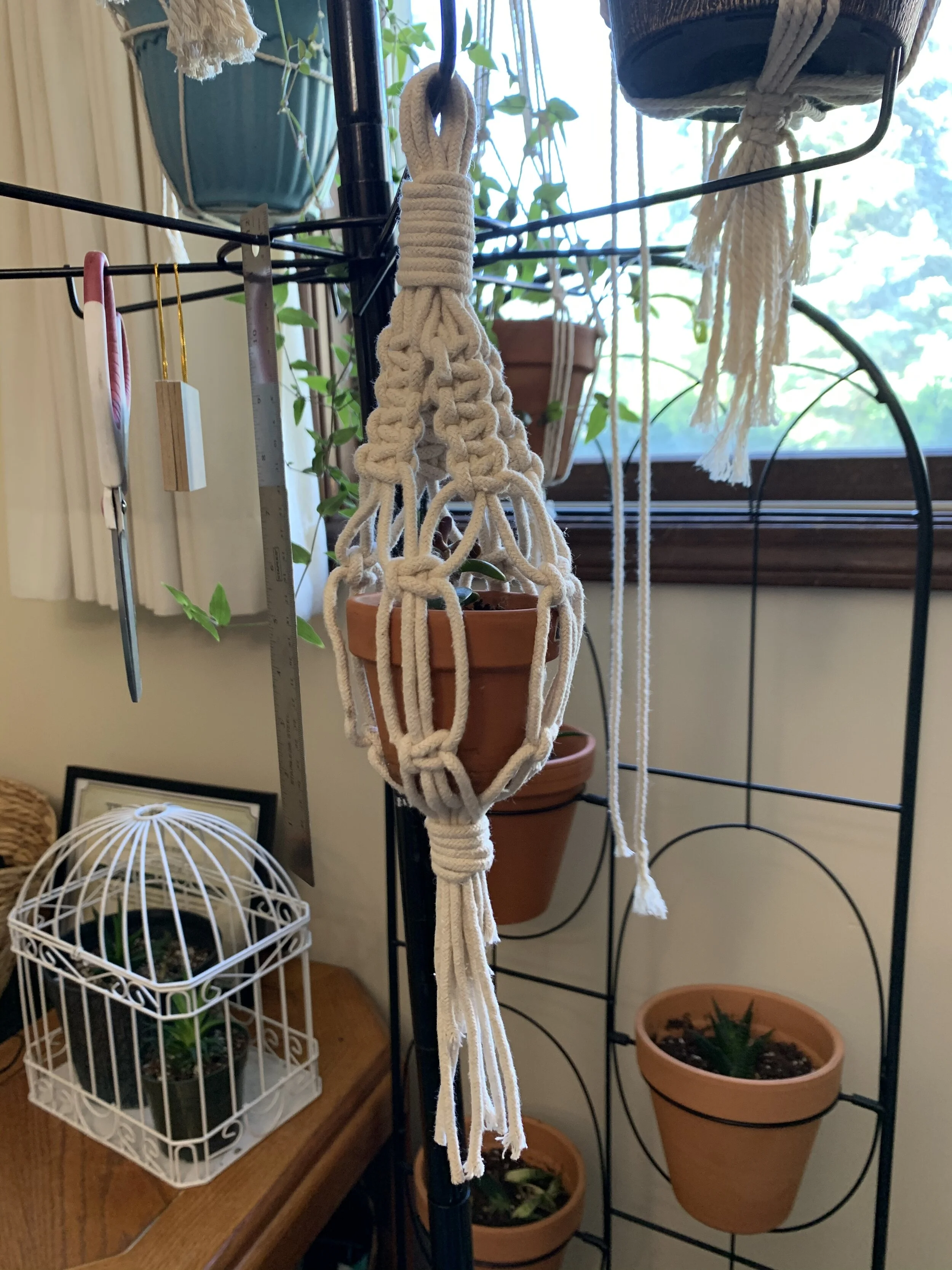 5C78265E-ED21-4809-B944-C4C974DB9A7E