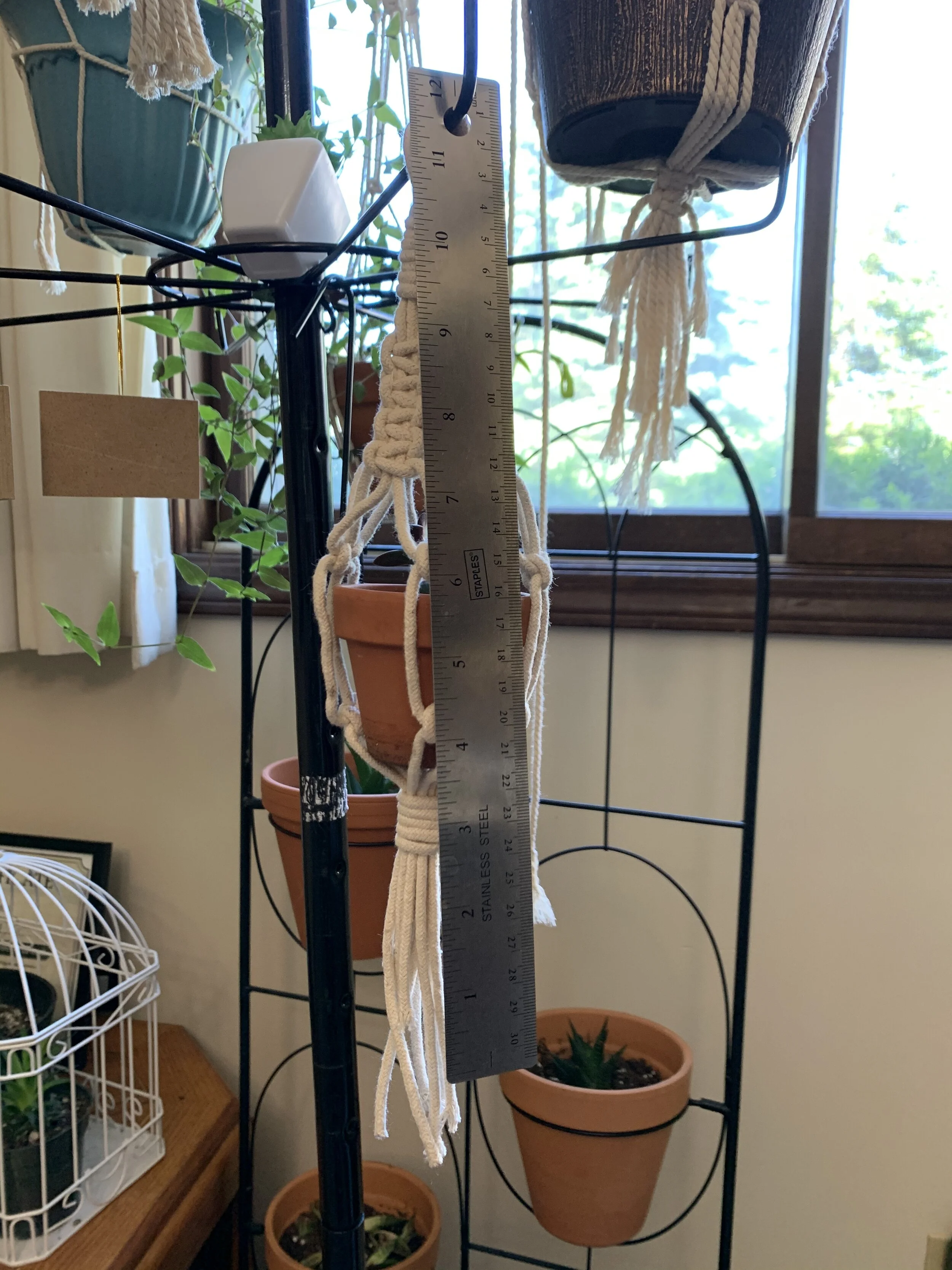 D351B1C4-4A02-47D9-B892-259607CAAC74