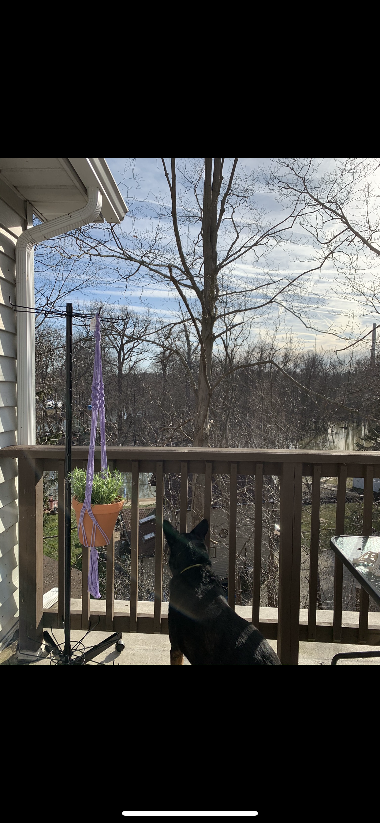 D89E355C-0A95-4A99-9DB0-5839F0668B5C