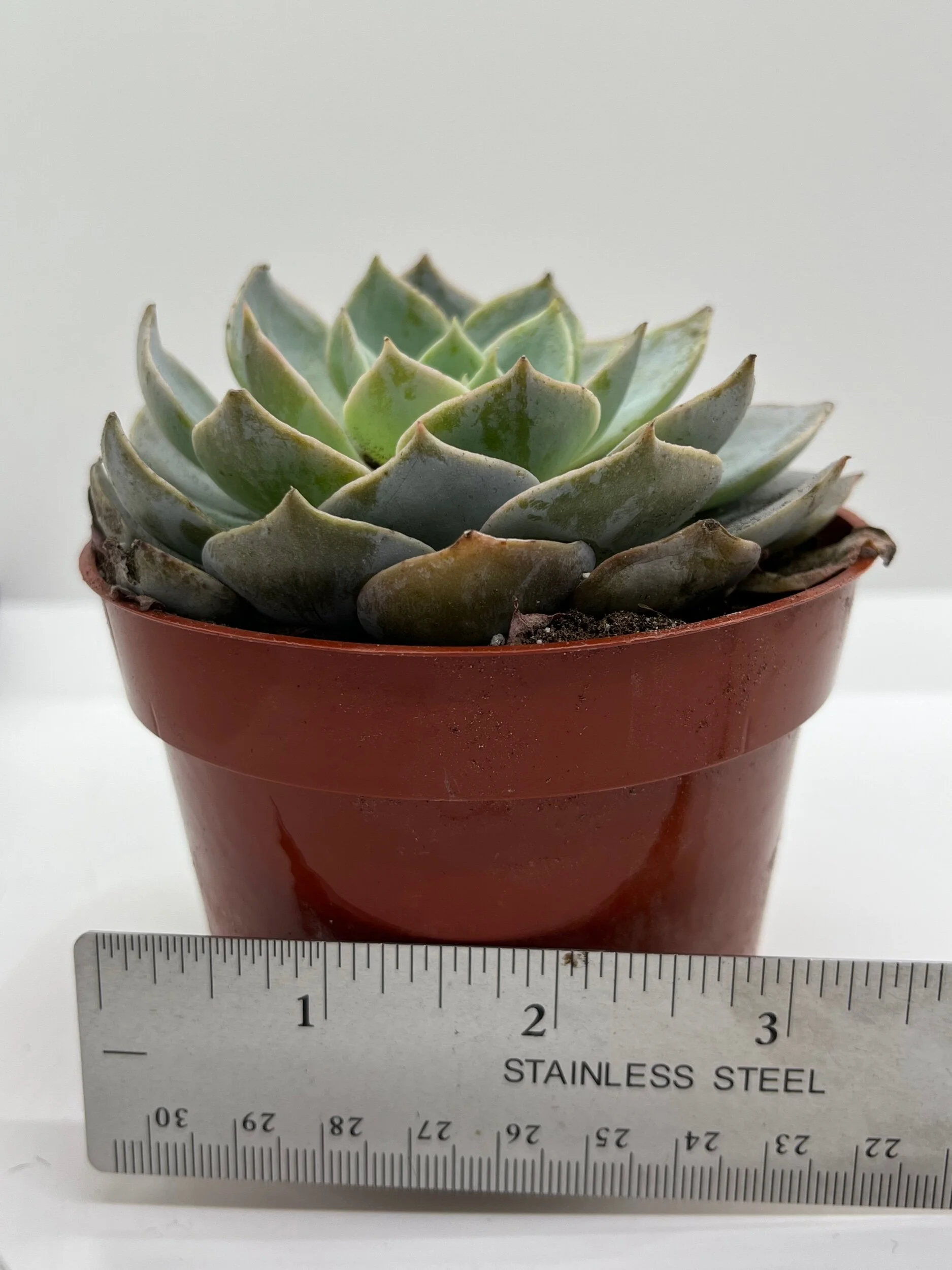 C7A8462E-973F-4C3C-8563-02BC61B08E58