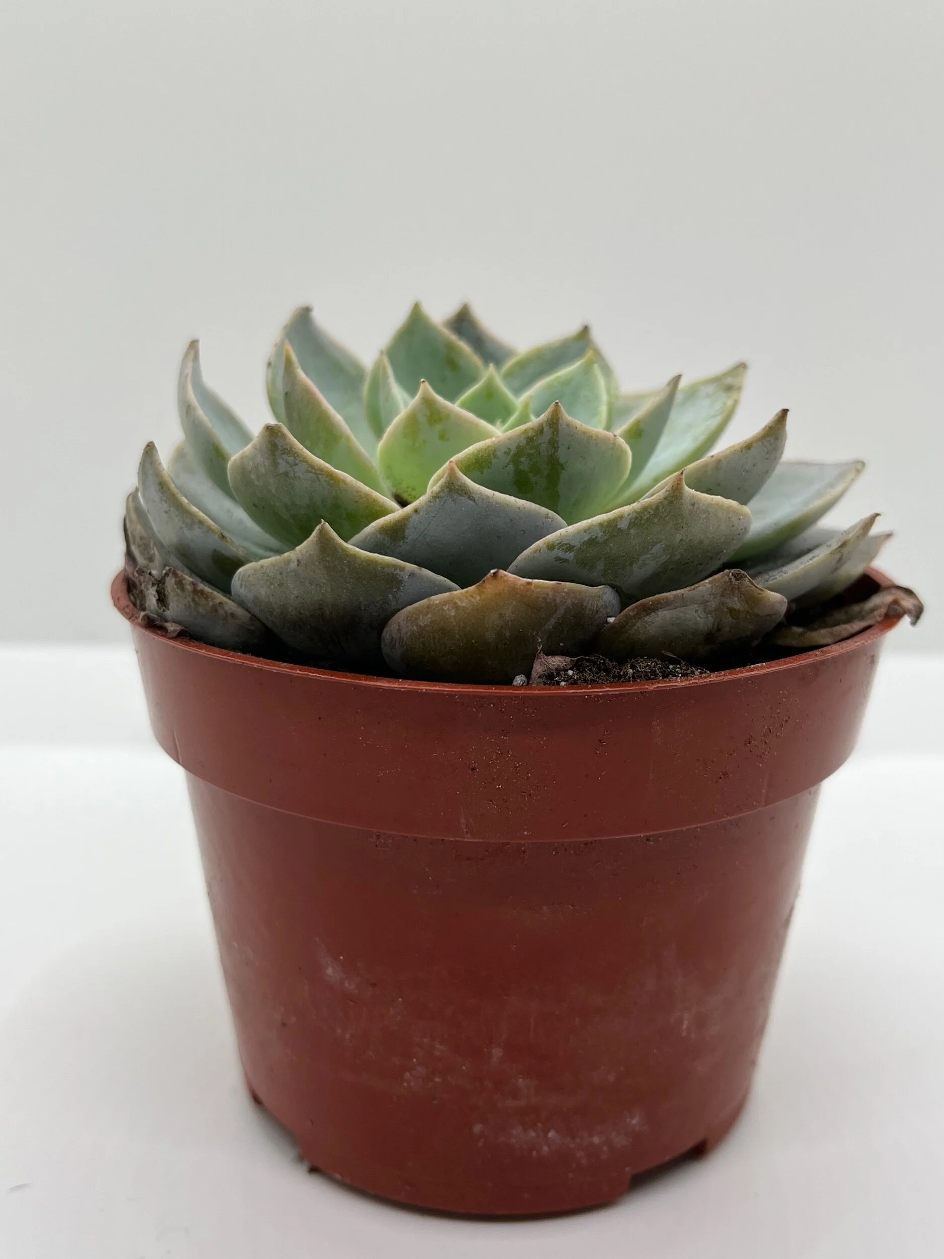 C5949091-C4D3-4996-BFD8-4154C84B574F