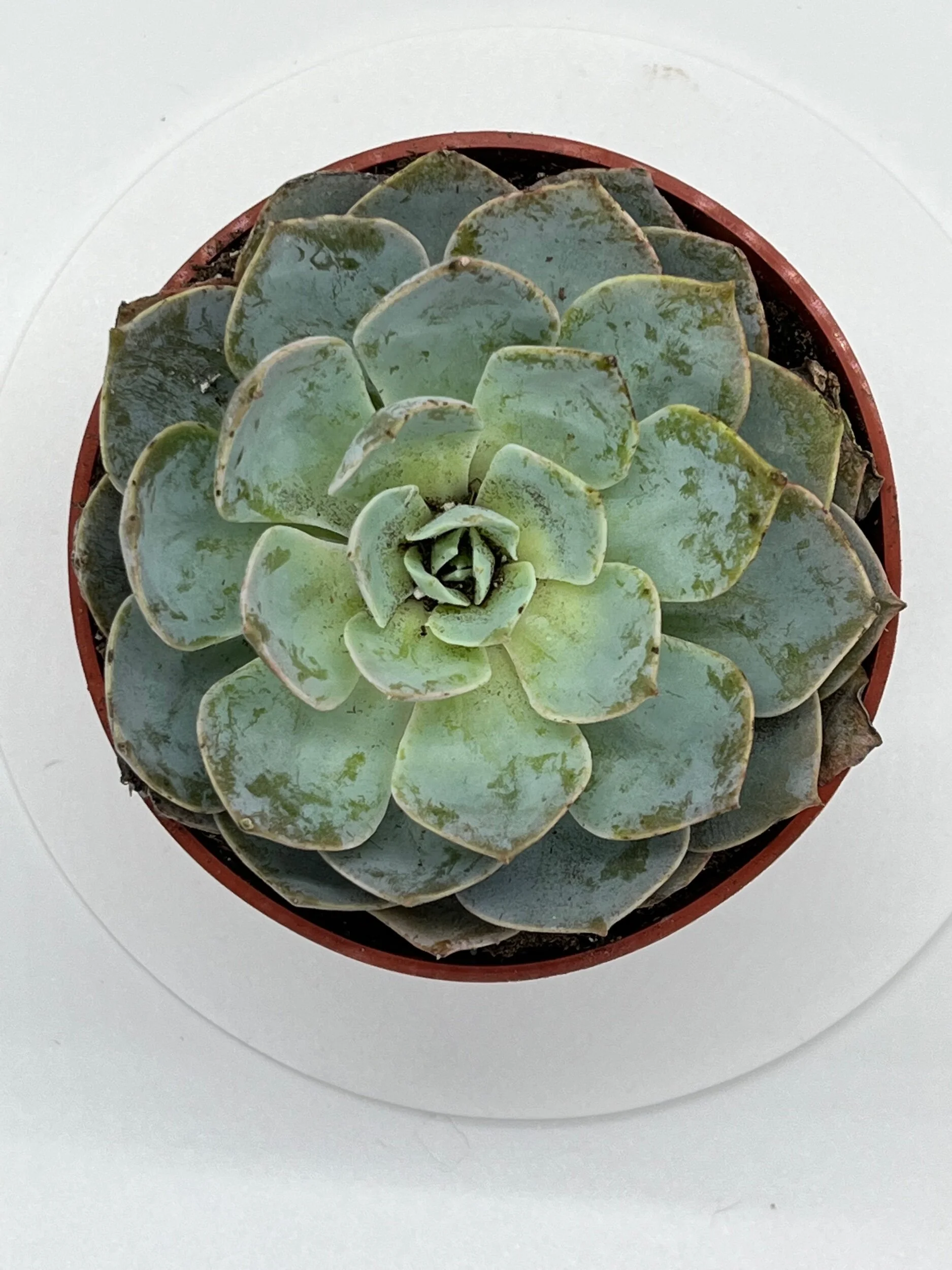 591AB80C-C242-4430-A16C-0776632C88FA