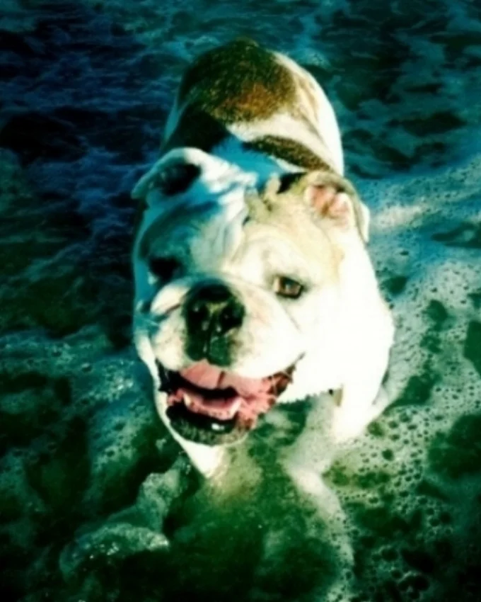 Oscar