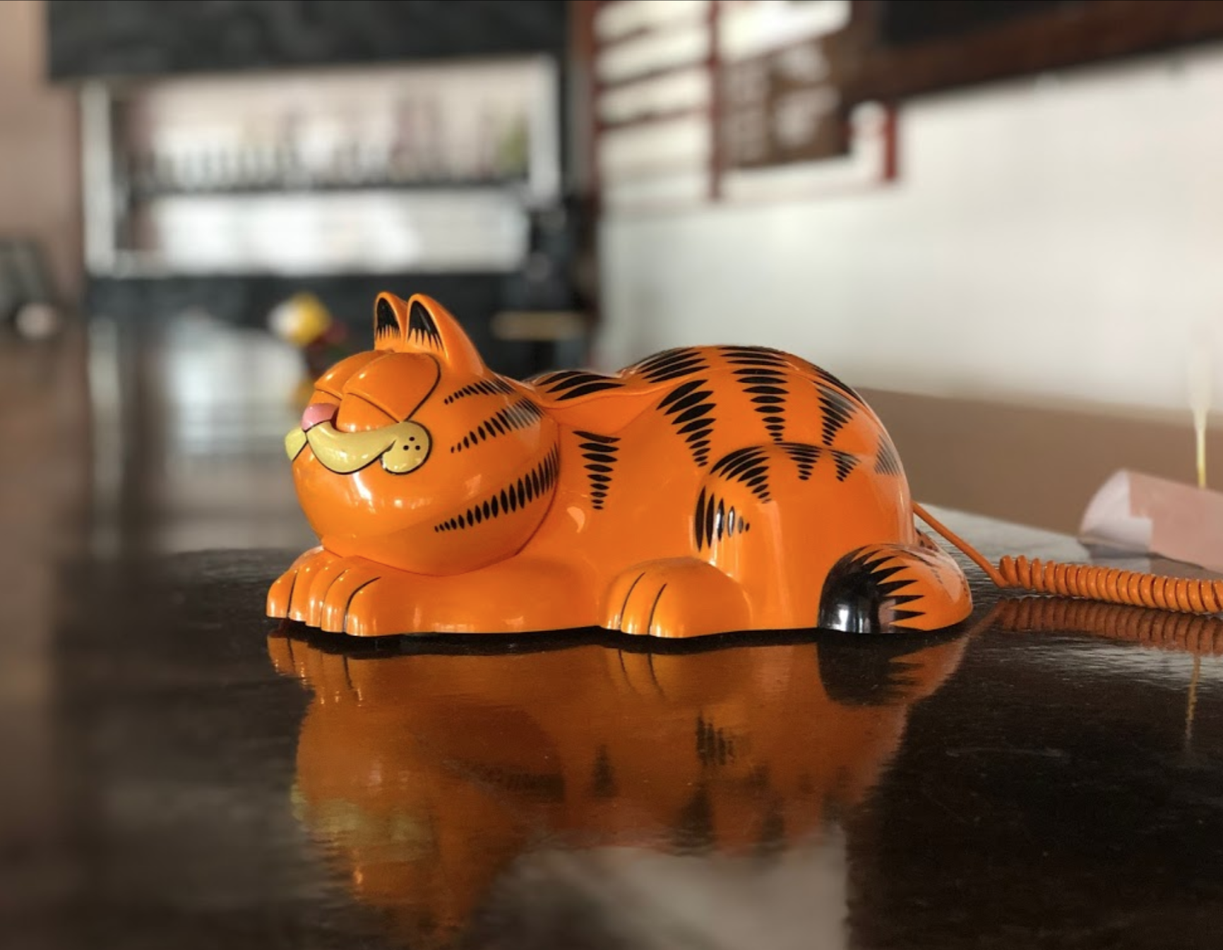Garfield the Nostalgia Brewery Cat