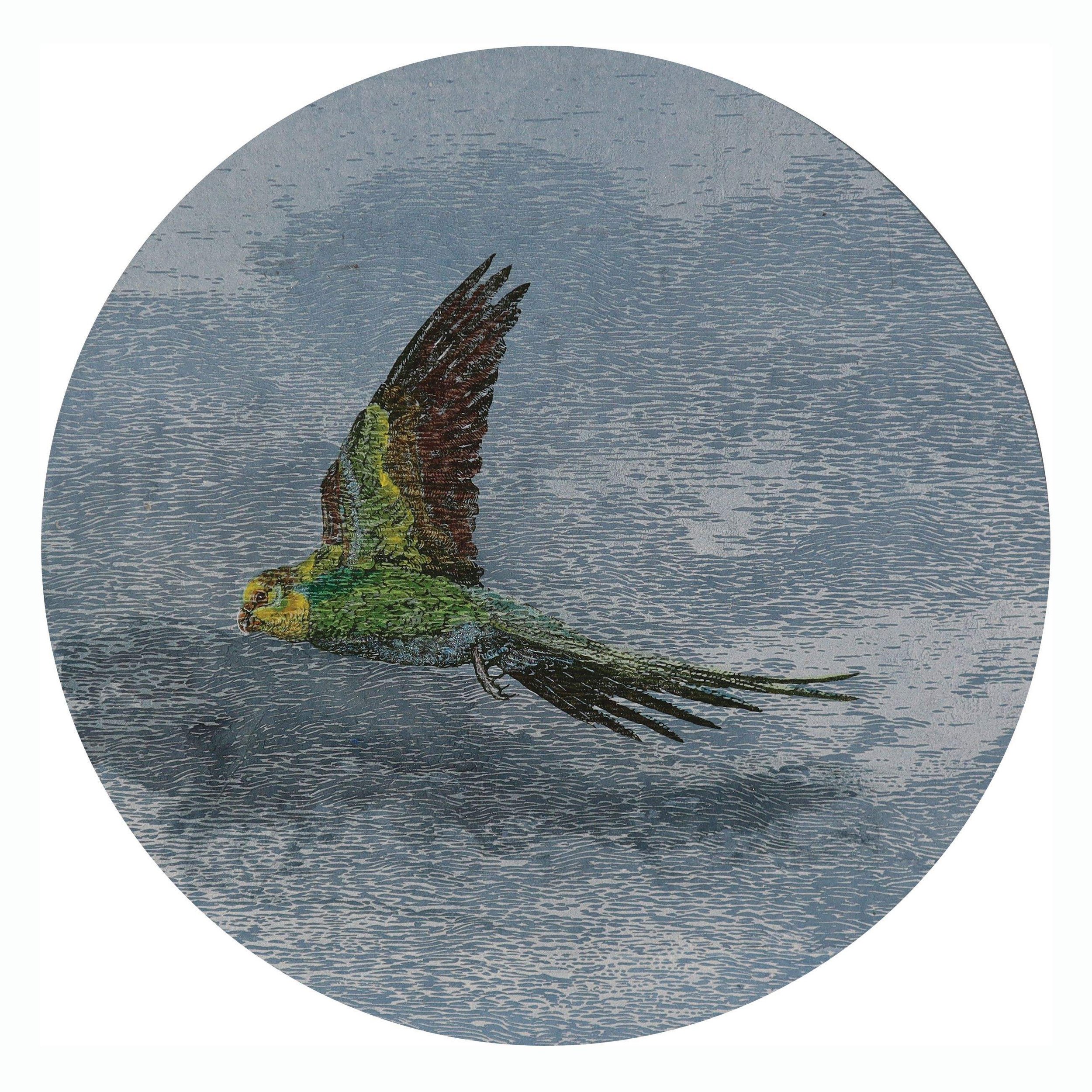 Flock - XXX - 2023 - linocut - pigmented ink.jpg