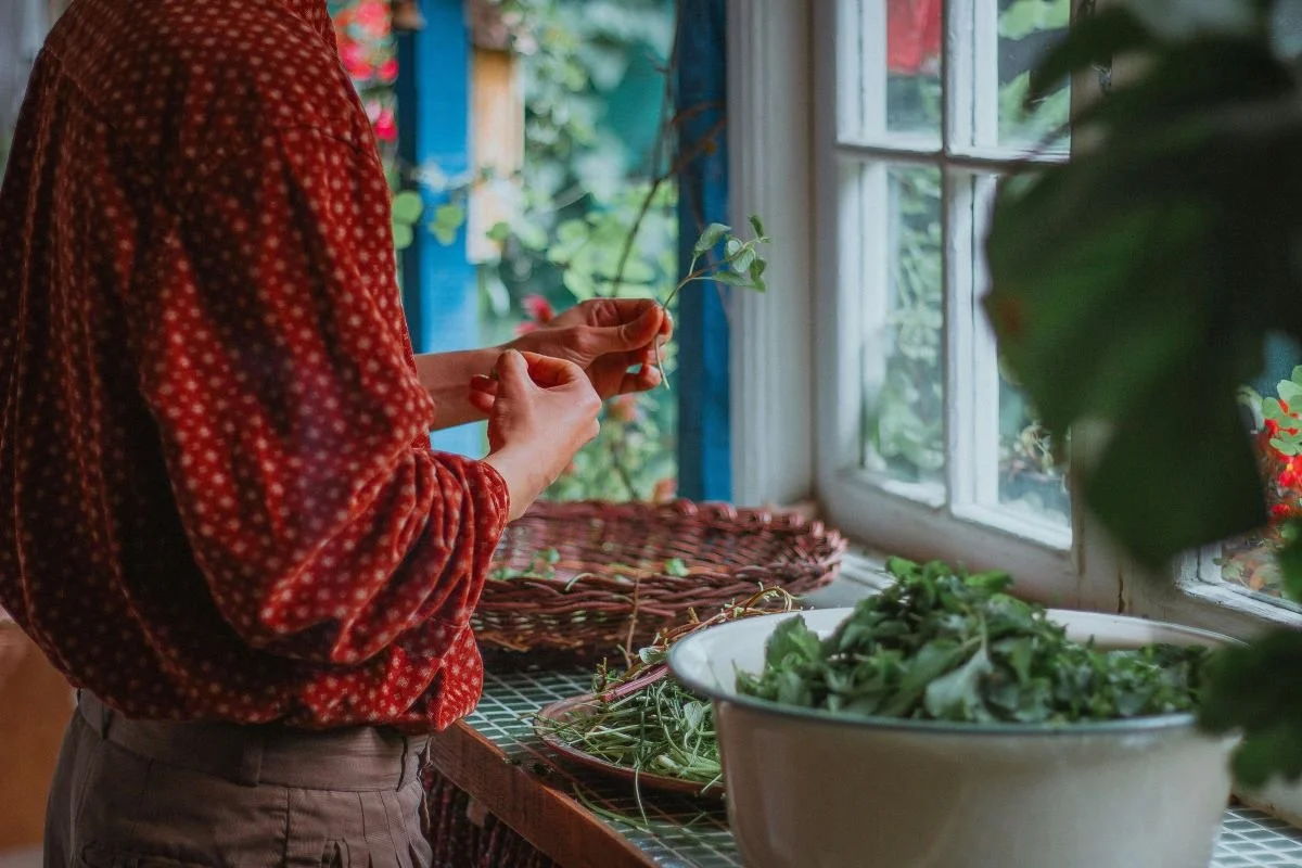 Backyard Herb Growing Tips for Seattle Foodies