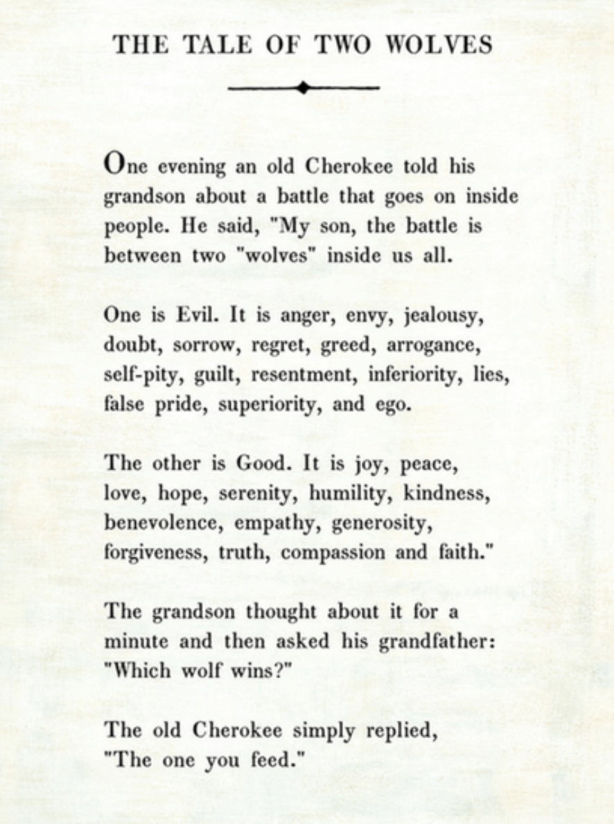 Why I M Taking A Social Media Break And How To Join Me Wild Words