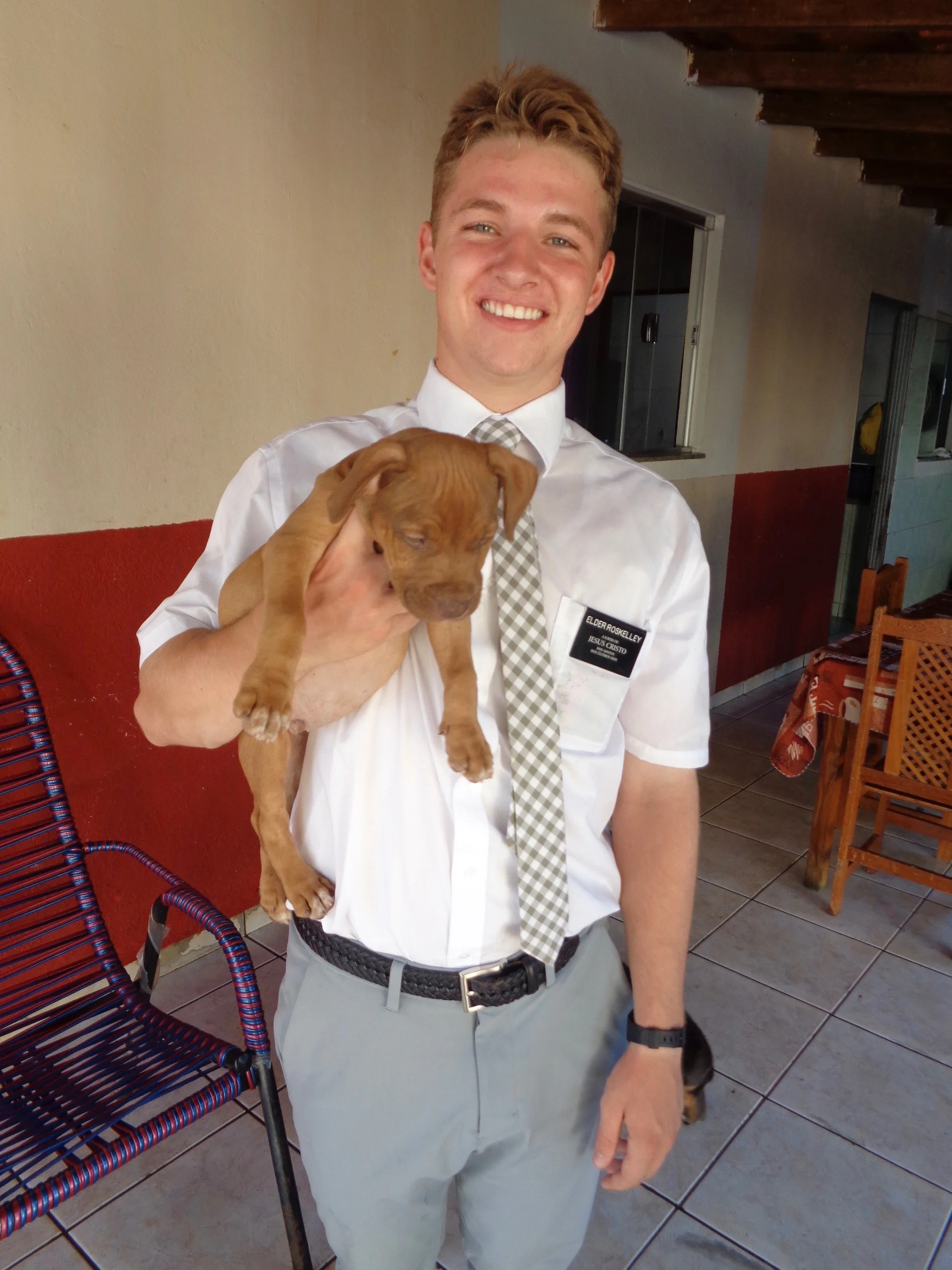 Balbino got a pitbull and when he showed up with the dog he handed it to me and goes "give this dog the most American name you can think of” so I shouted “Frank”, and now his name is Frank. Here's a picture of him.