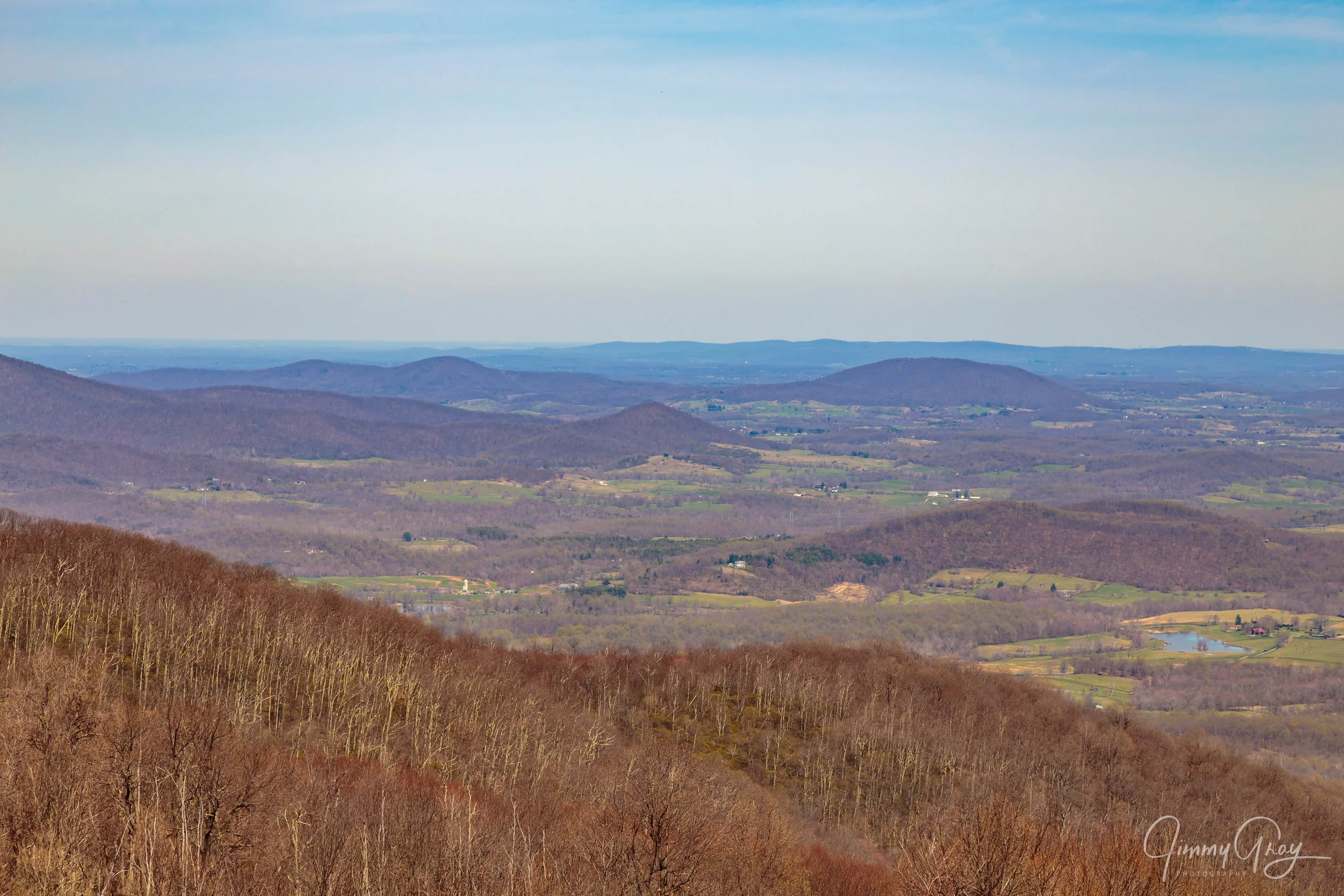 IMG_8274.jpg