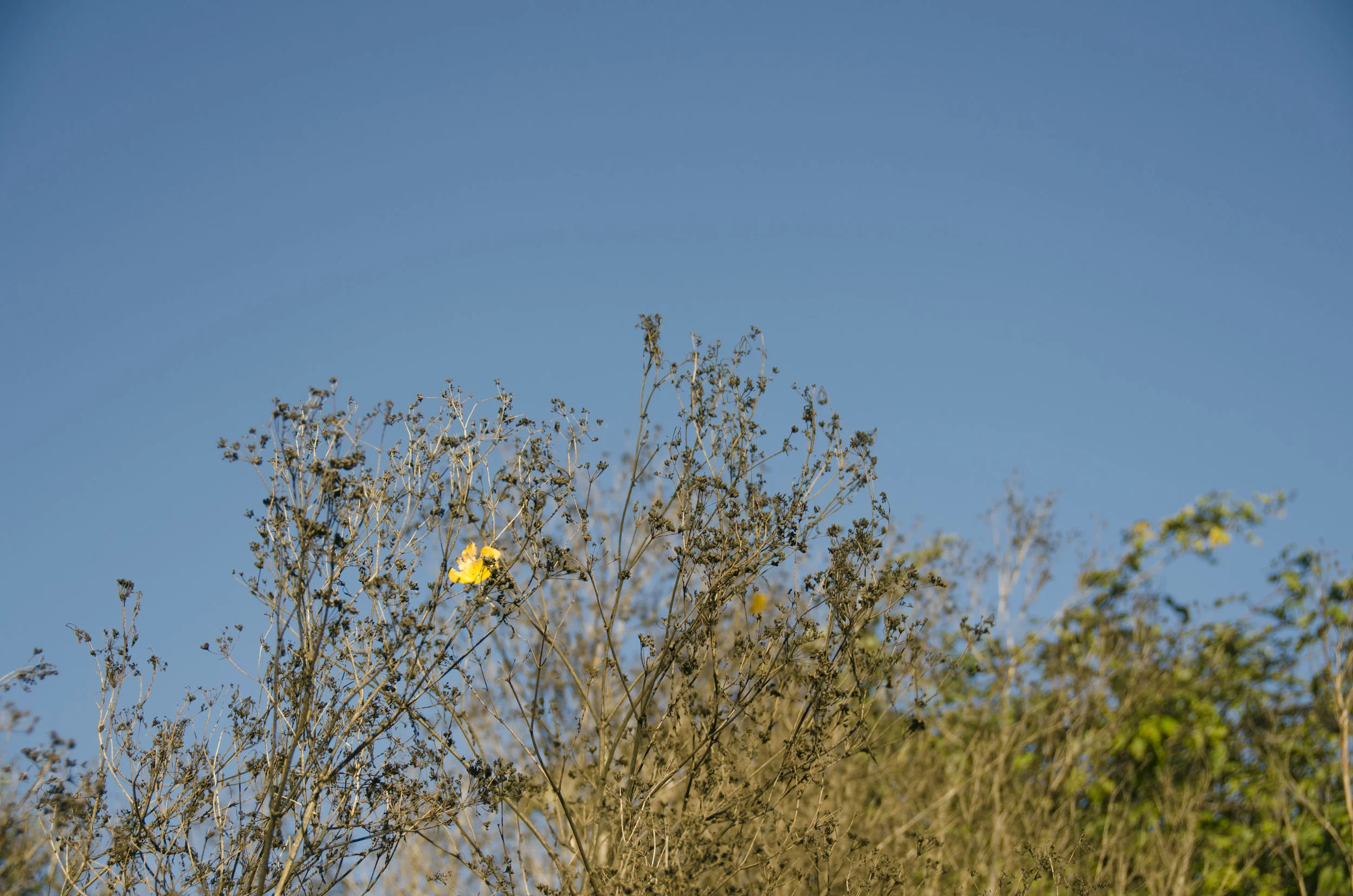  Fort Worden - Washington, 2016 