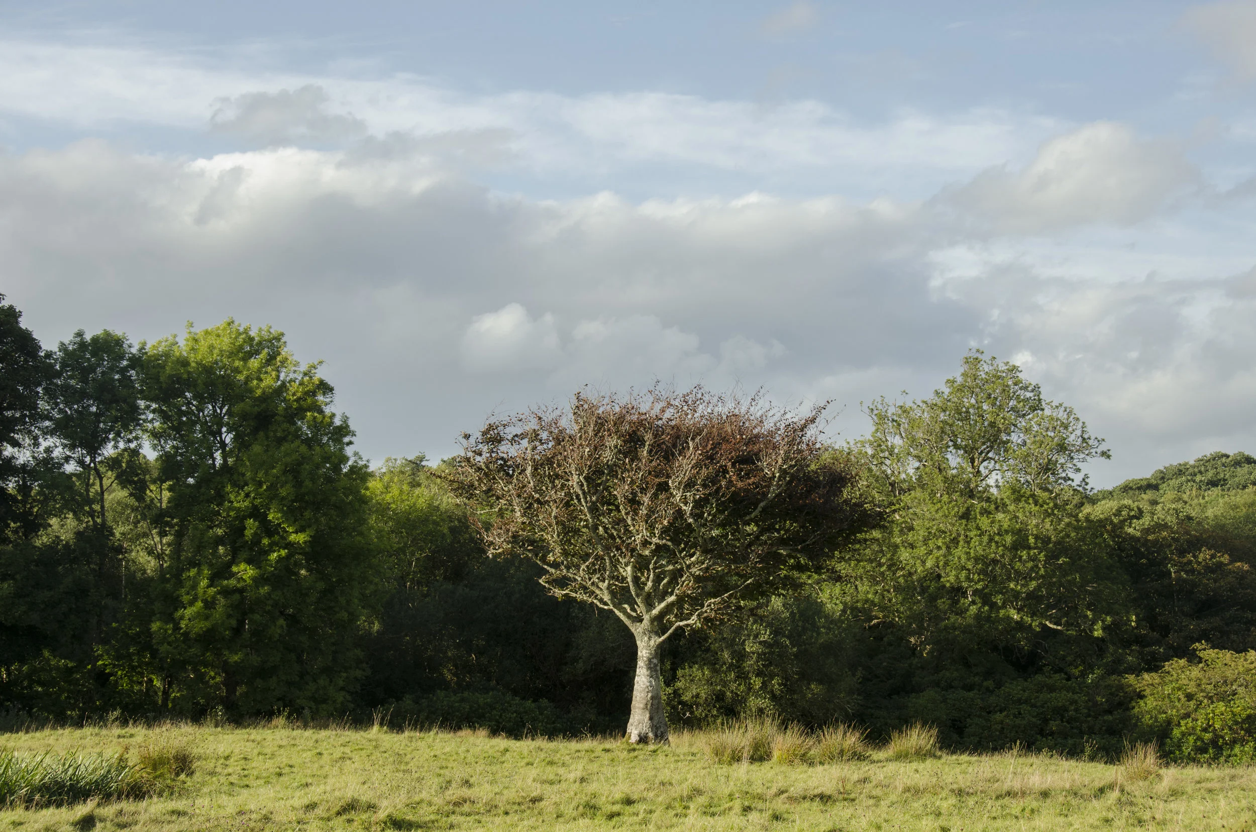  Ireland, year unknown 