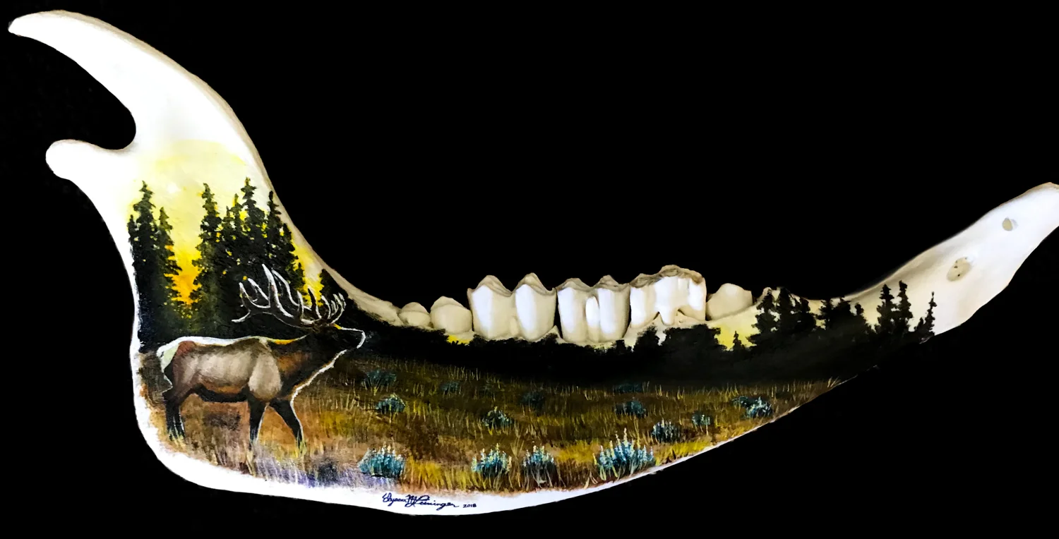 sunset bison jaw.jpg
