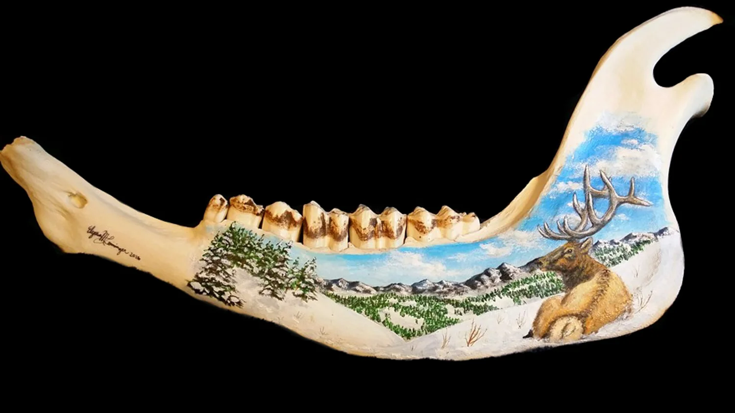 Bison Jaw Bone.jpg
