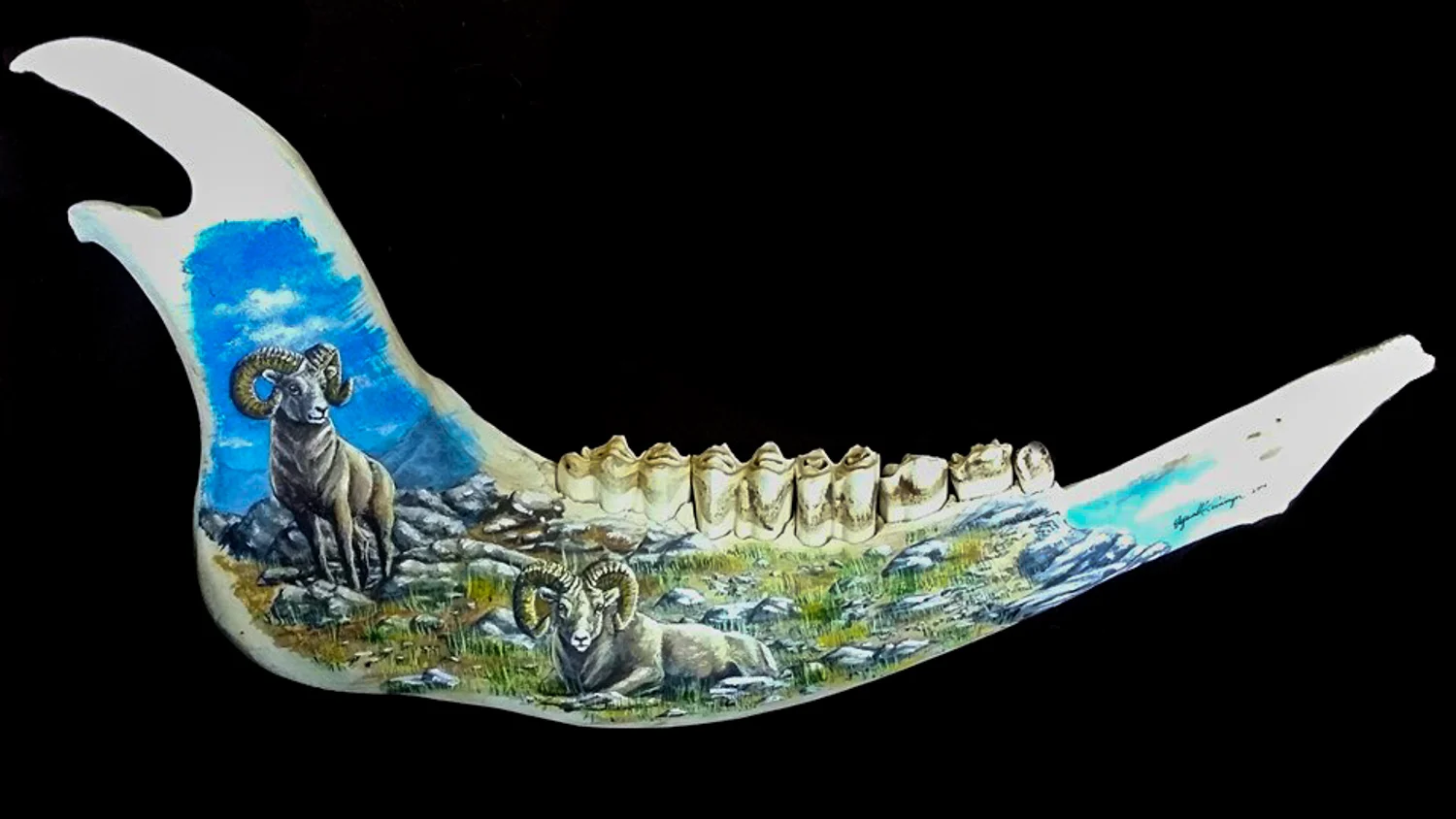 Jaw Bone Rams.jpg