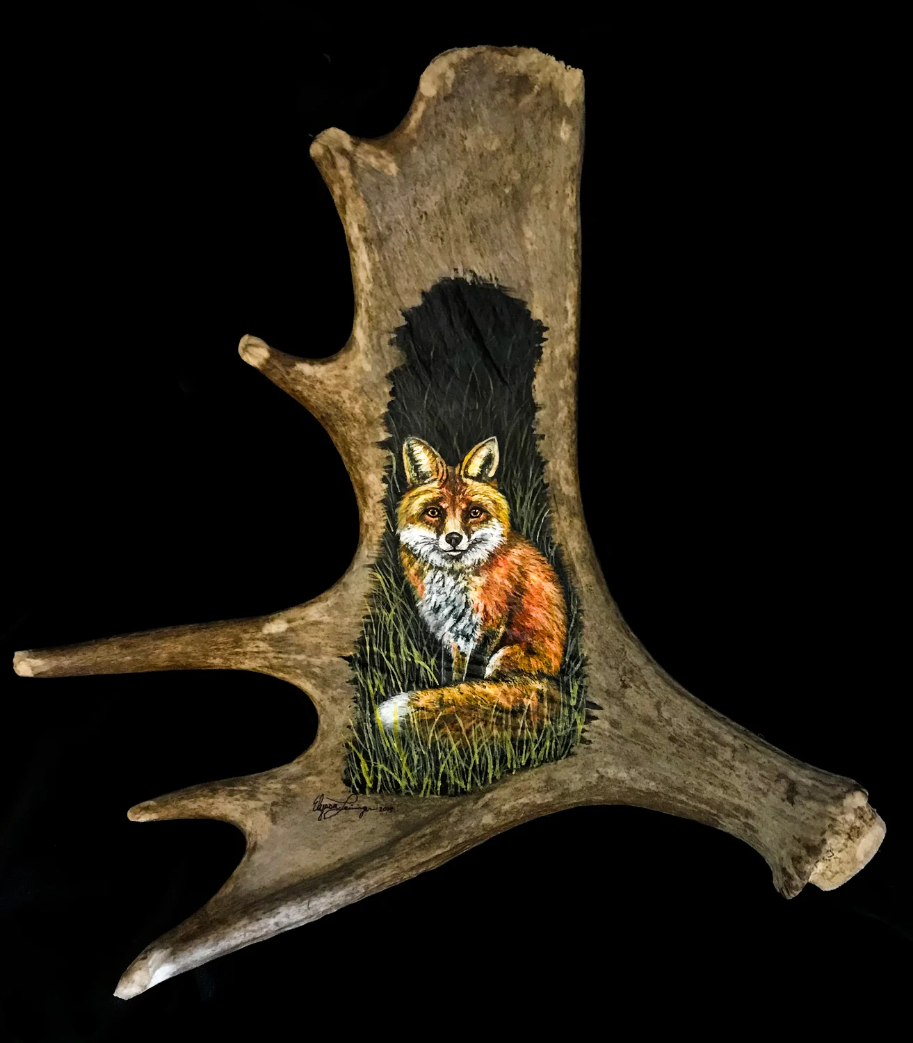 Fox