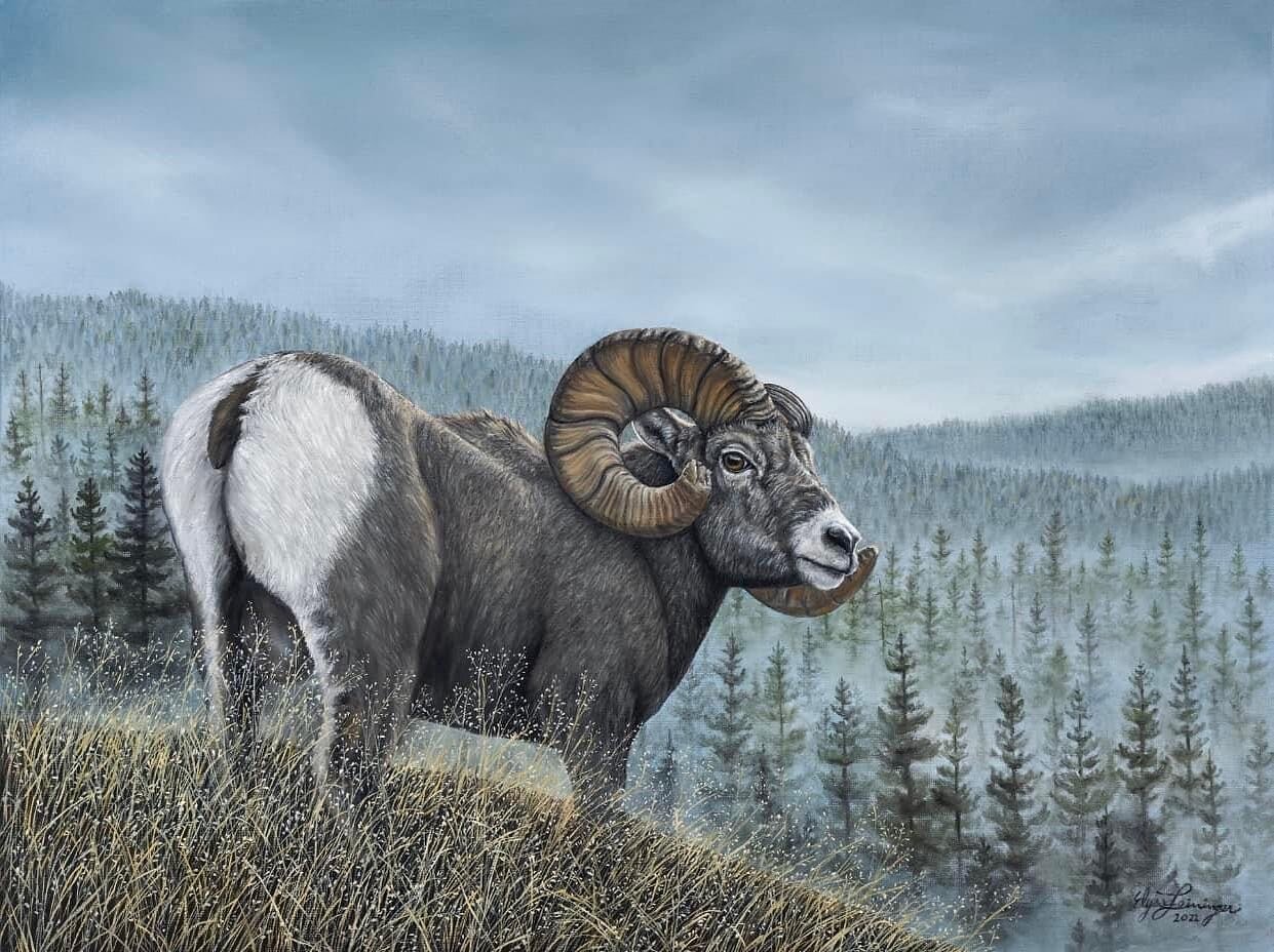 &ldquo;Ridgeline Ram&rdquo; 18x24 inch oil. Original and prints available 

This new piece is headed to Great Falls with me for the @western_heritage_artshow during Western Art Week this Wednesday-Saturday! Come see me at the Holiday Inn in room 212.