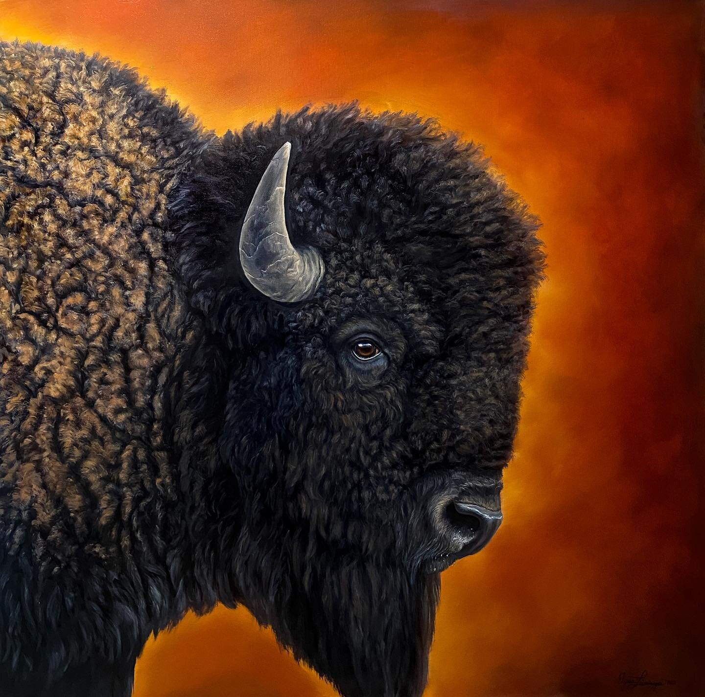 Introducing &ldquo;Lotta Bull!&rdquo; 

The most iconic symbol of the American West, the American bison symbolizes resilience, strength, unity, and prosperity. I utilized the warm reds and oranges in the background to represent the power of the bull 