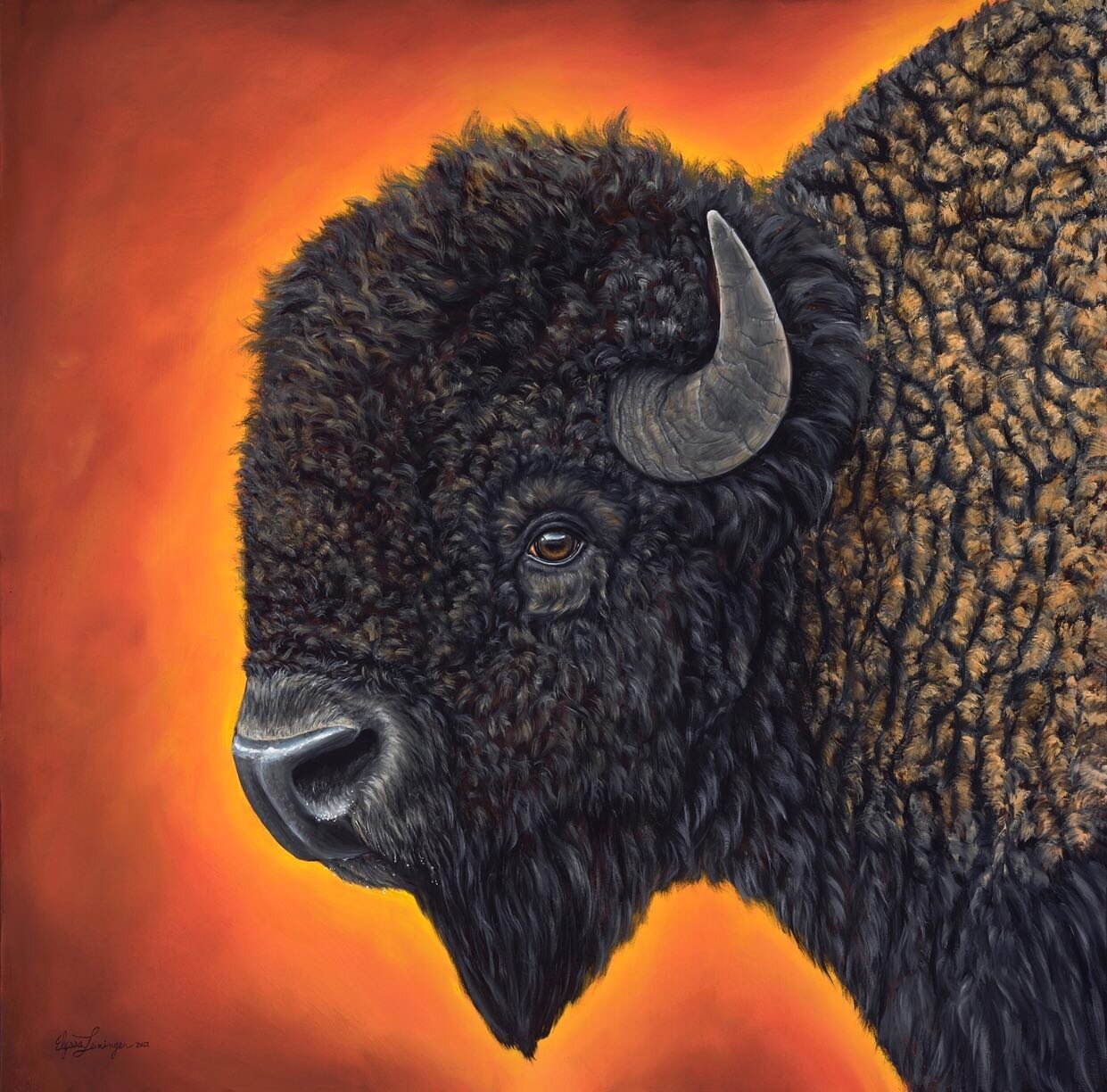 Bison are my favorite animals to paint because of all their hair! But the eye is still my favorite part to paint. Like the other pieces in my bull series, the eye is in the exact center of the canvas and was painted first to keep the eye the focal po